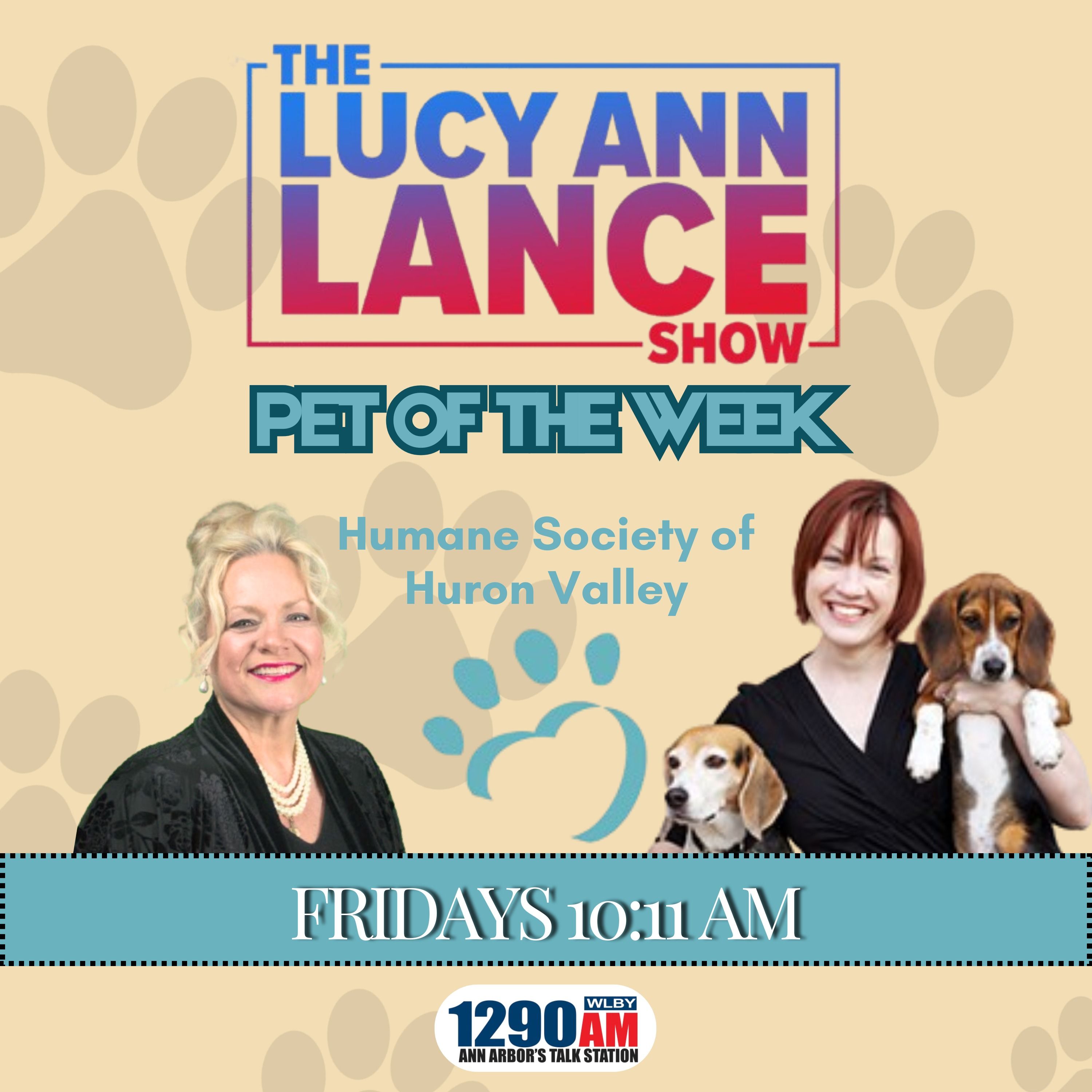 080125 ~ Meet Sandra, our Pet of the Week! - Wendy Welch