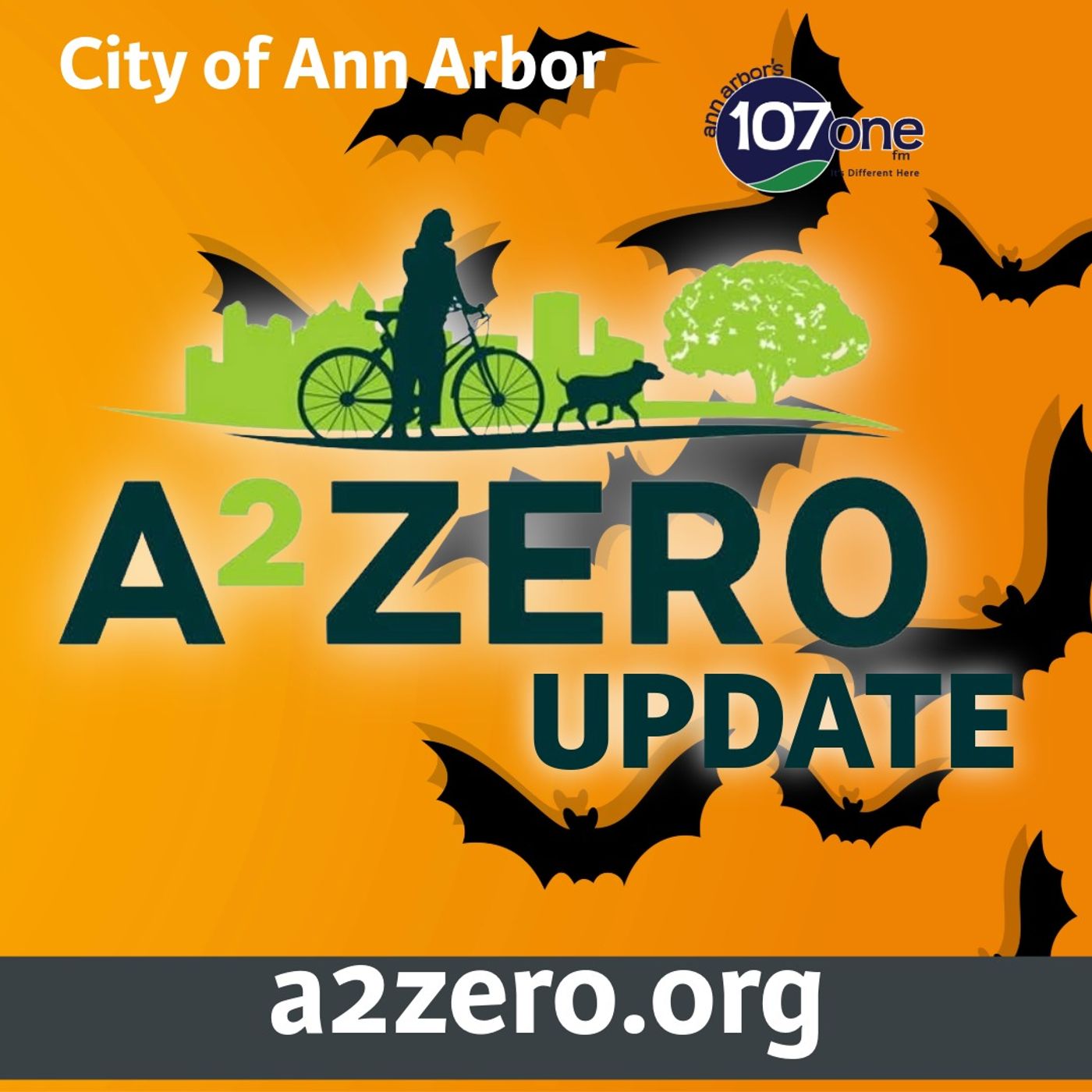 Artwork for ann arbor's 107one Podcast