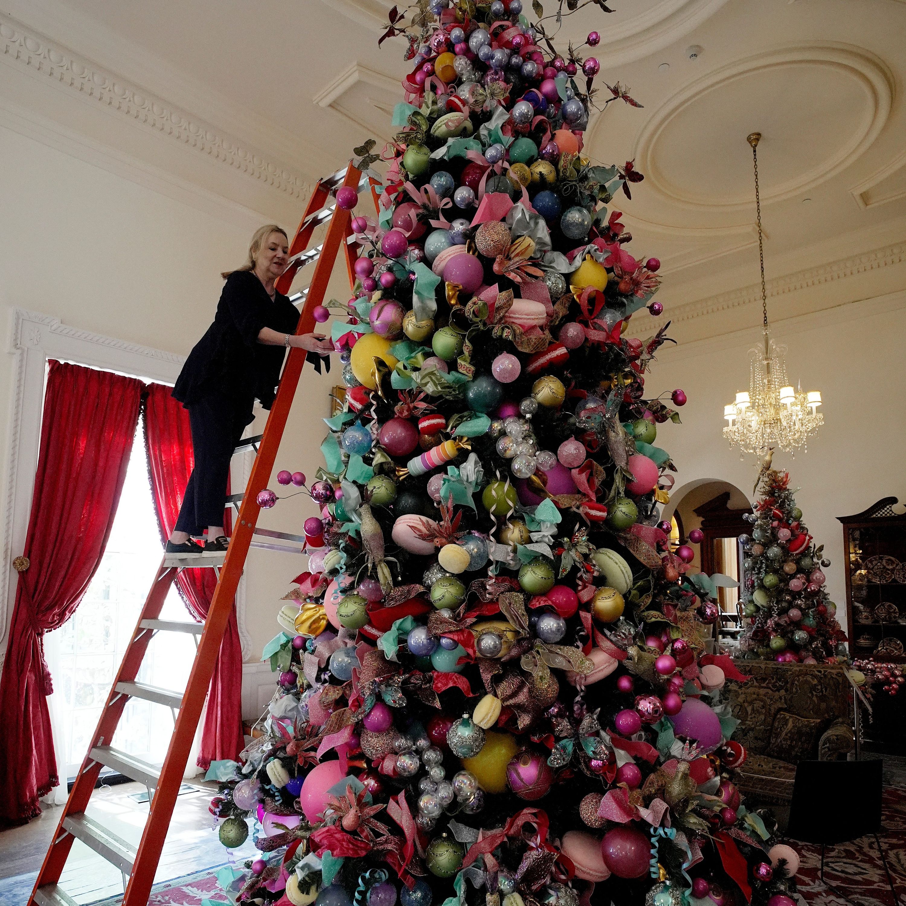 Michigan Tree Farm Presents White House Christmas Tree