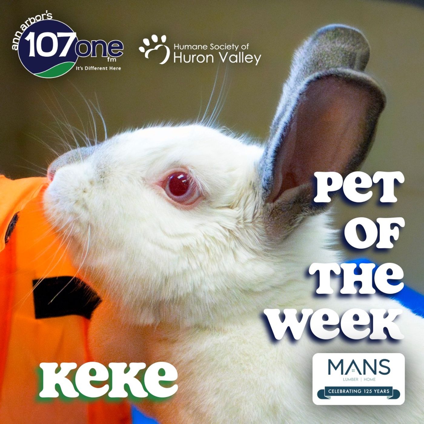 a2VV: HSHV Pet of the Week 5/7/26 episode artwork