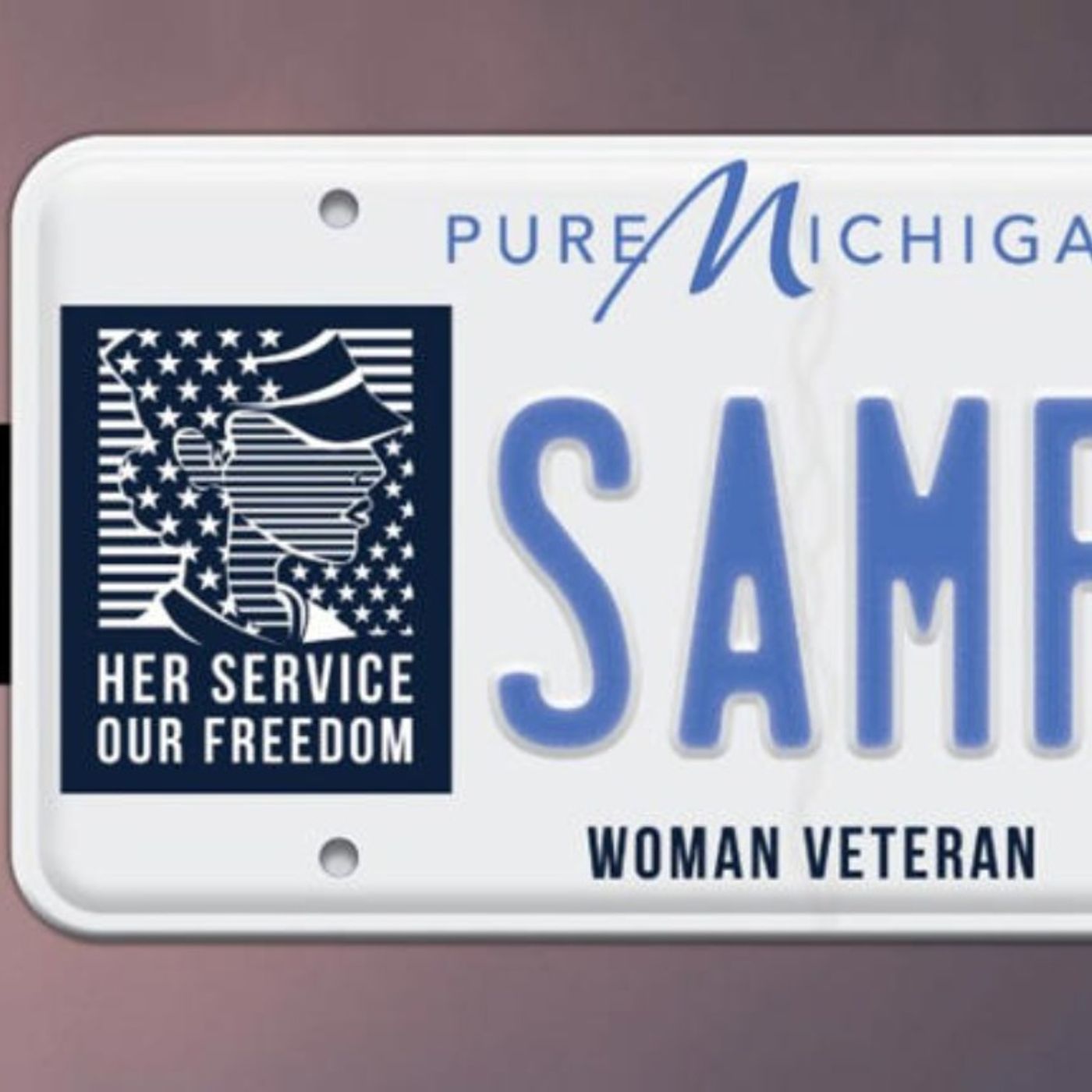 A New Michigan License Plate That Celebrate's Women Veterans