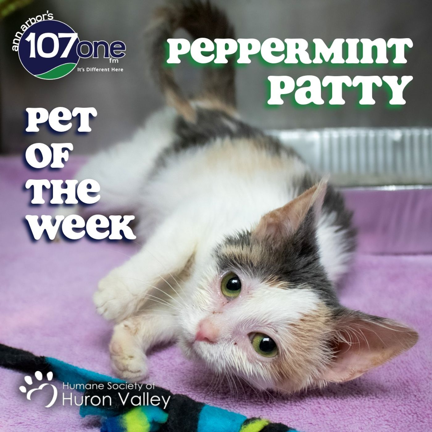 a2VV: HSHV Pet of the Week 1/22/26