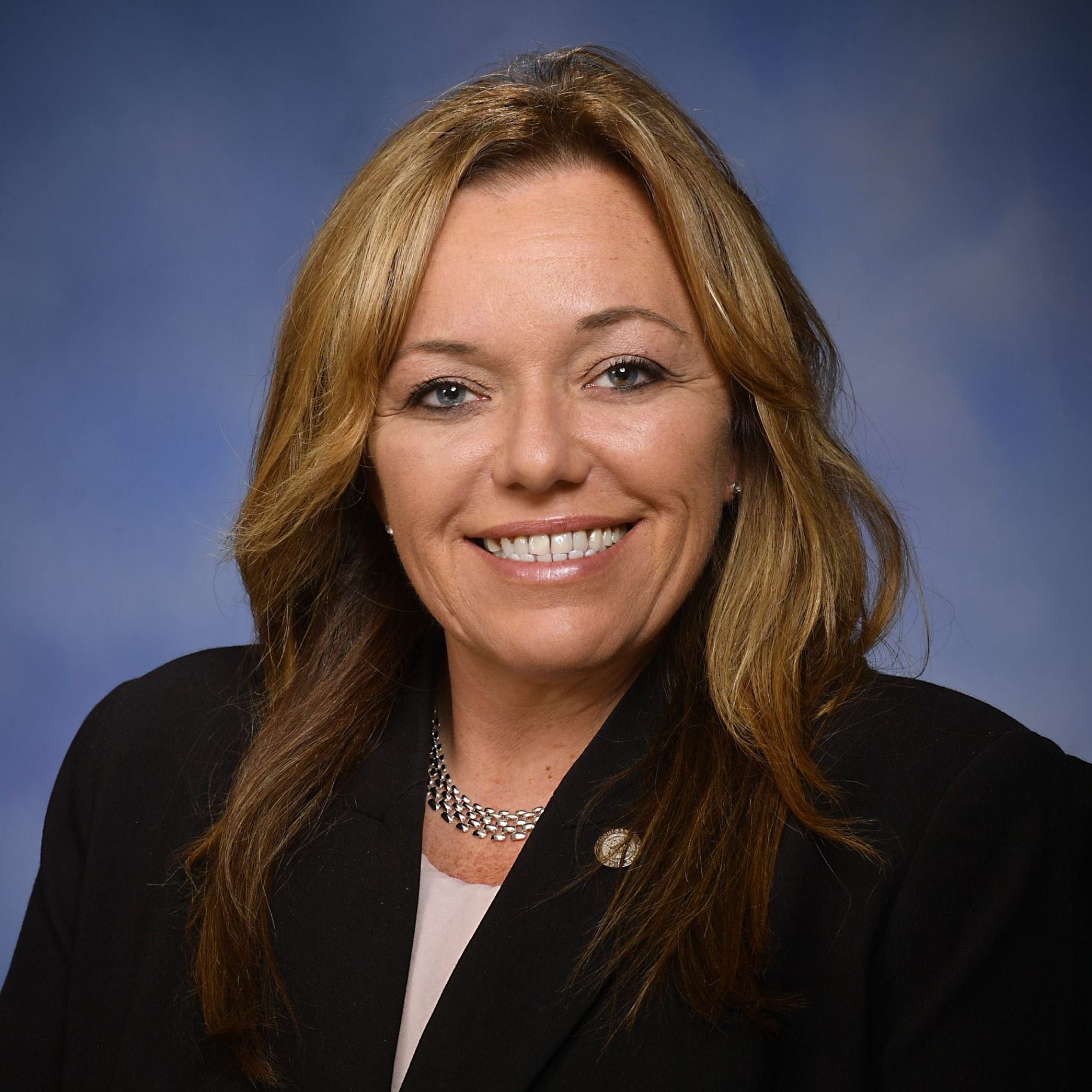 100625 ~ Michigan Legislature Passes State Budget - Rep. Jamie Thompson