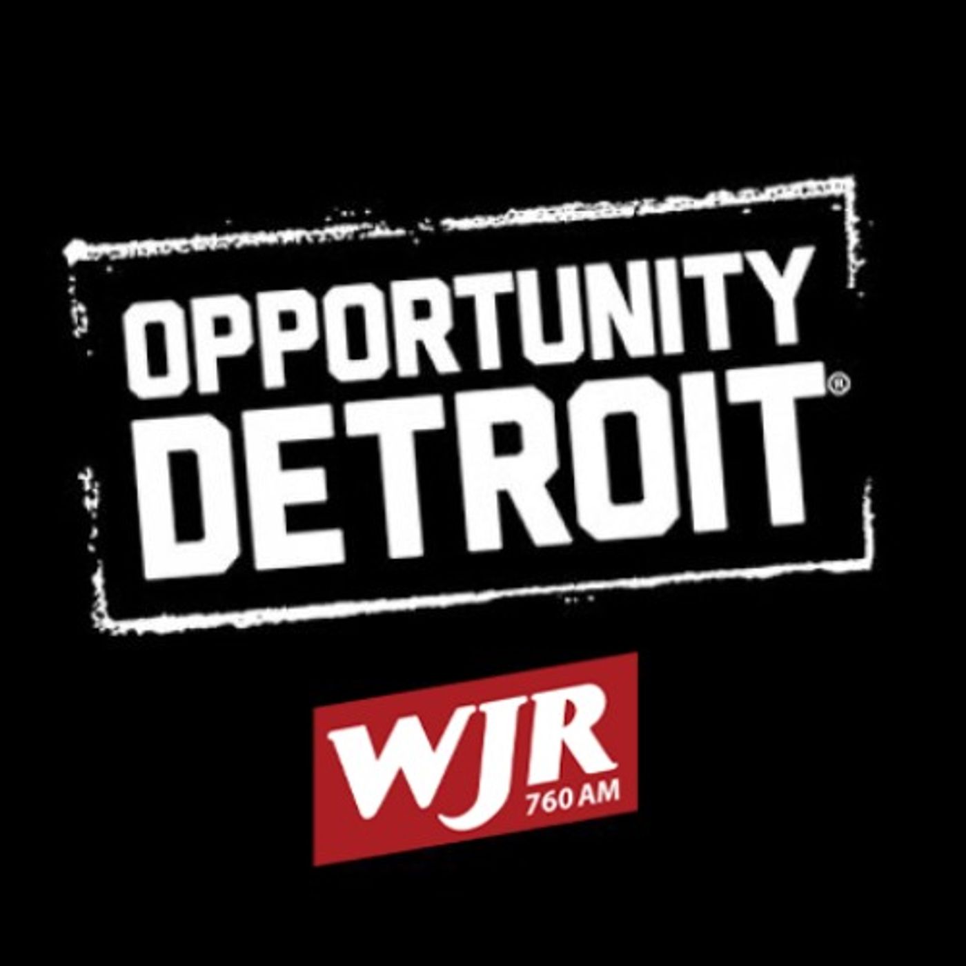 Opportunity Detroit ~ Ashley Williams Clark & Melanca Clark