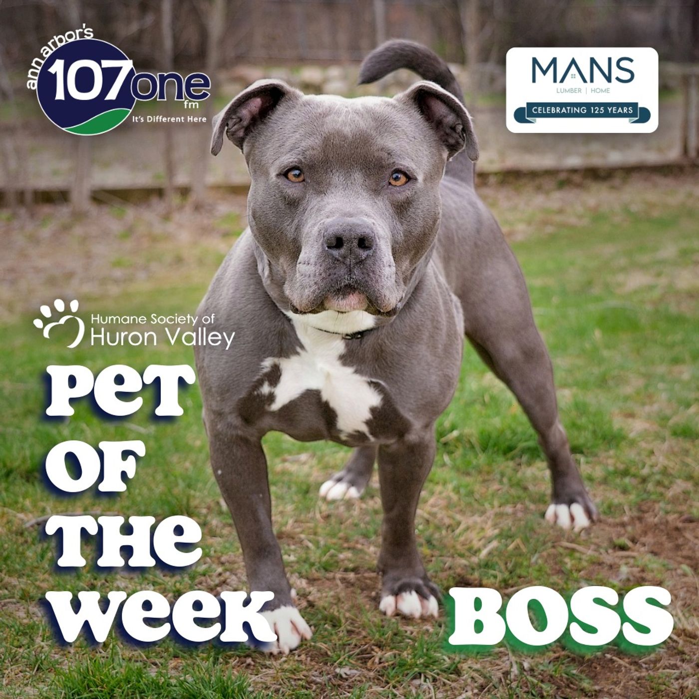 a2VV: HSHV Pet of the Week 5/28/26 episode artwork