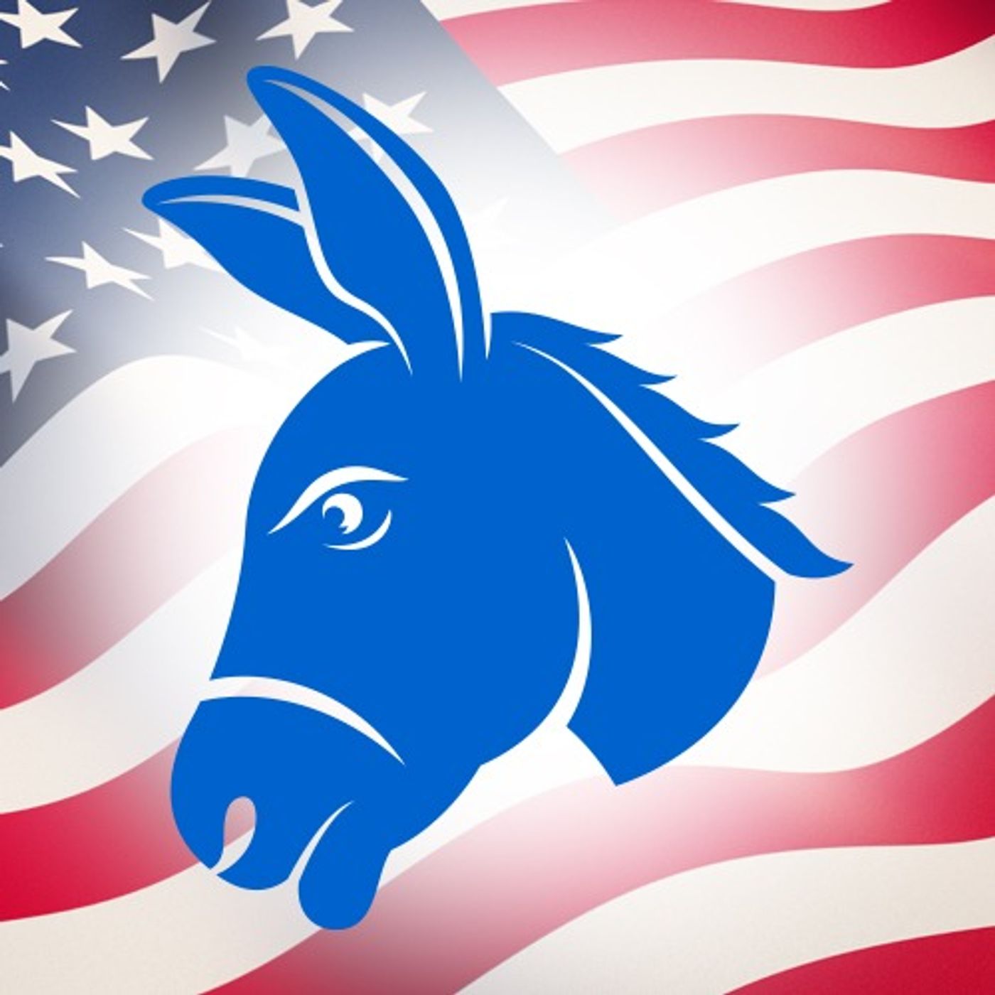 Democrats’ “Big Tent” Convention Turns Into a Three-Ring Circus