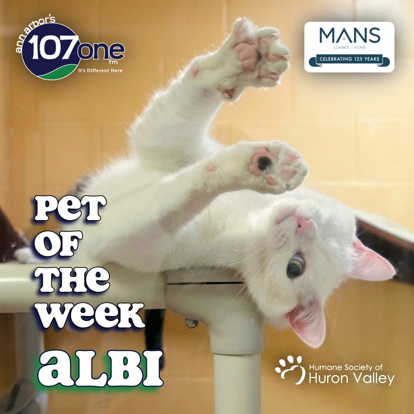 HSHV Pet of the Week 6/25/26 episode artwork
