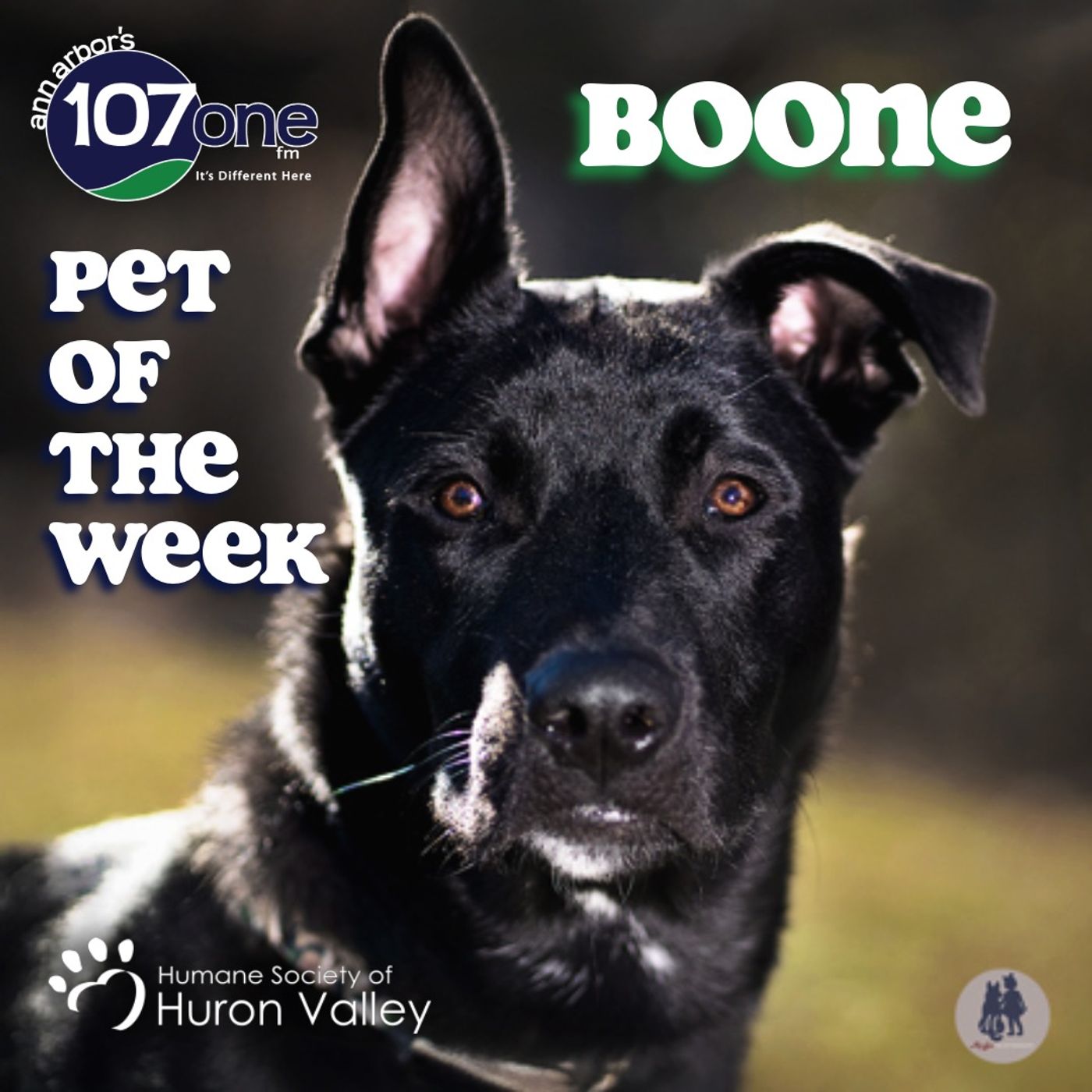 a2VV: HSHV Pet of the Week 1/15/26