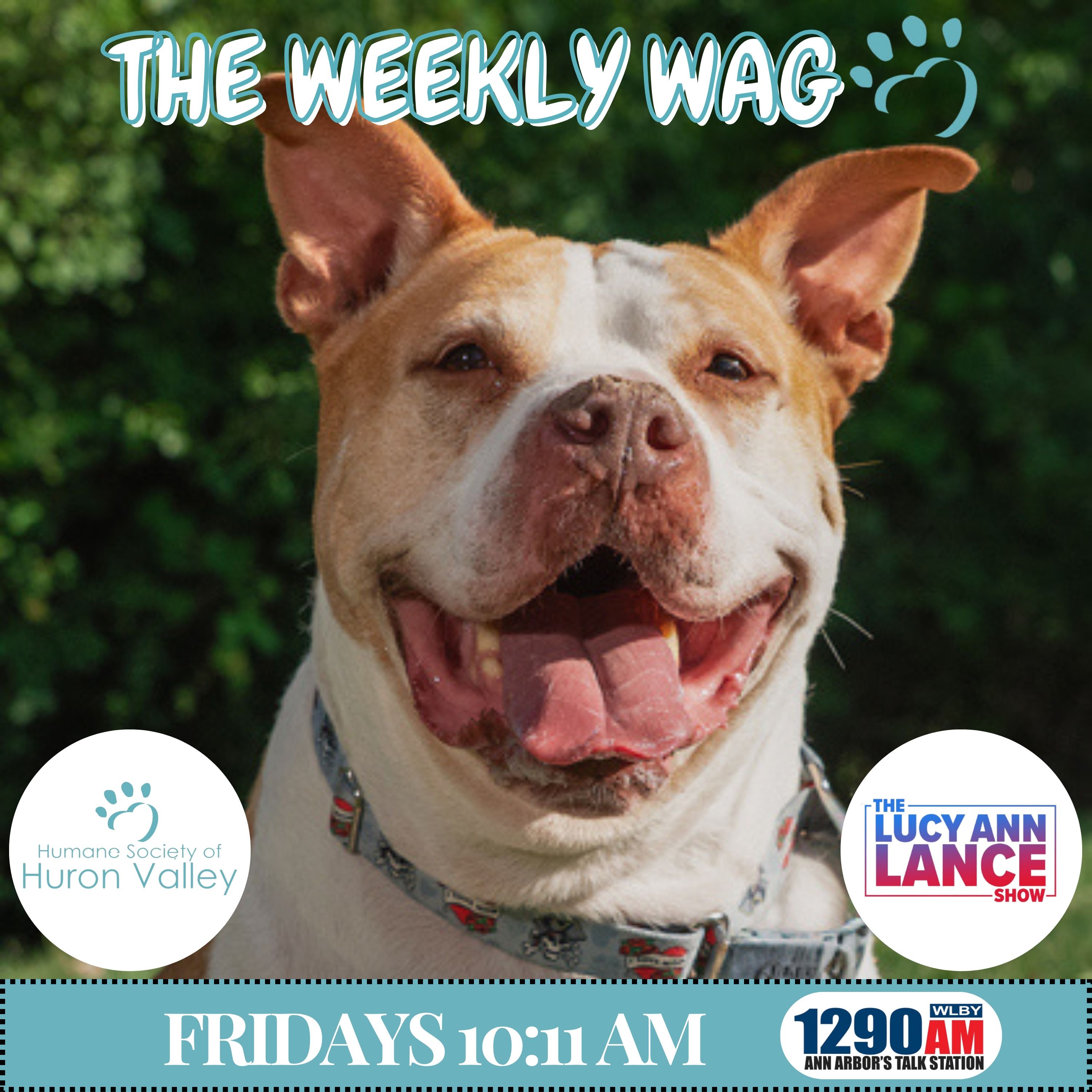 091826 ~ The Weekly Wag! - Laura Crouch