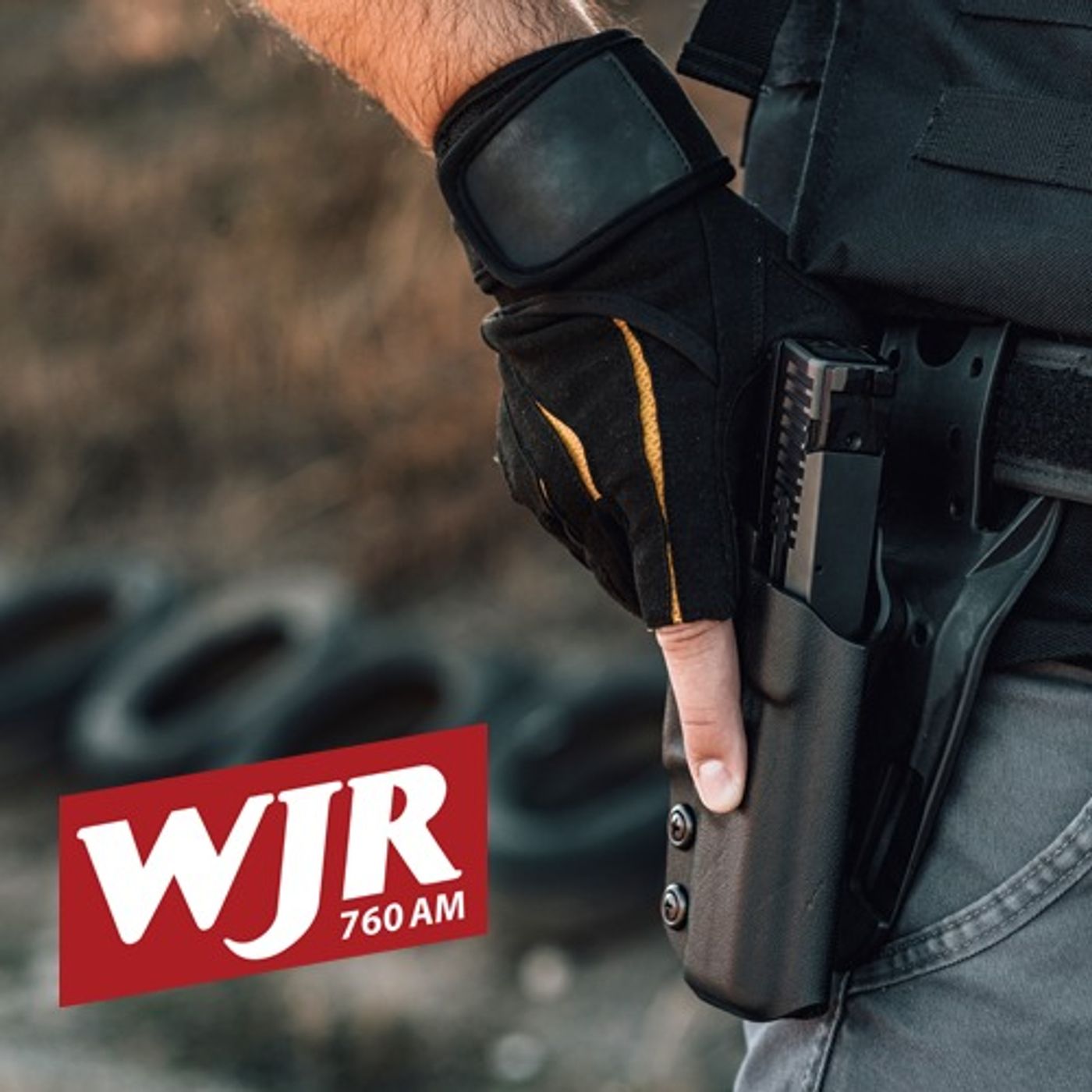 To Permit, or Not to Permit: That is the Question for Michigan Gun Owners