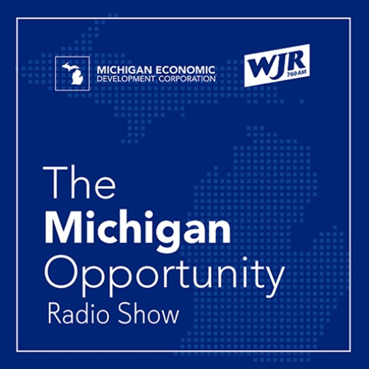 The Michigan Opportunity Radio Show ~ Aug. 29, 2026