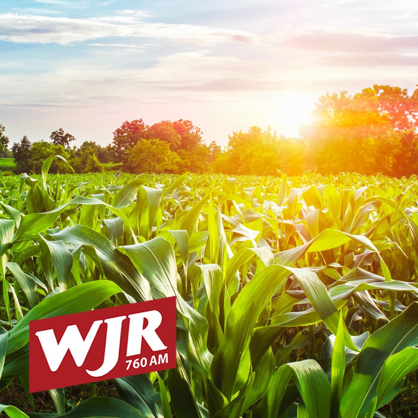 Tim Travis, Founder Goldner Walsh Nursery