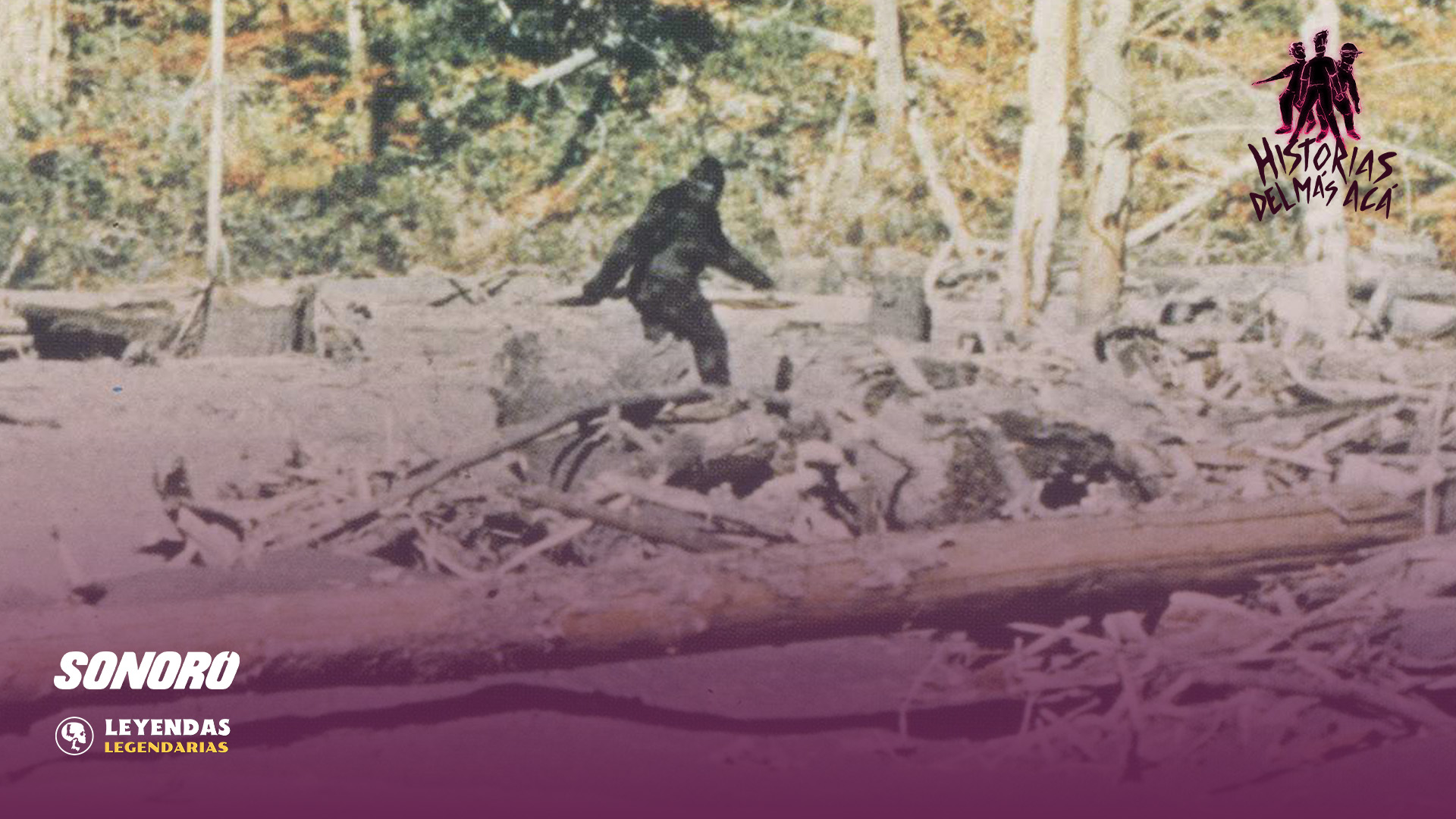 Desmintiendo a Bigfoot - Historias del Más Acá 265