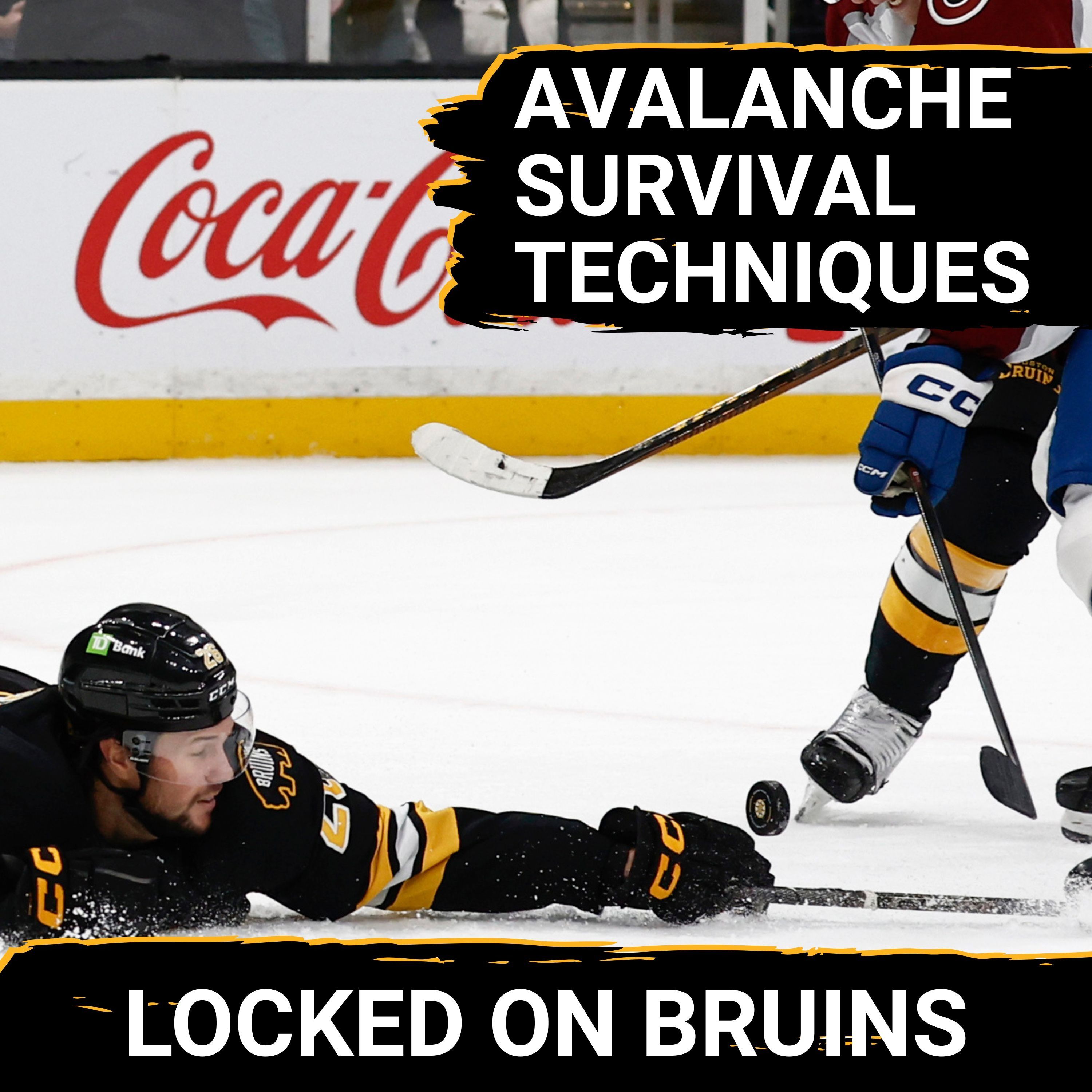 How The Bruins Survived An Avalanche