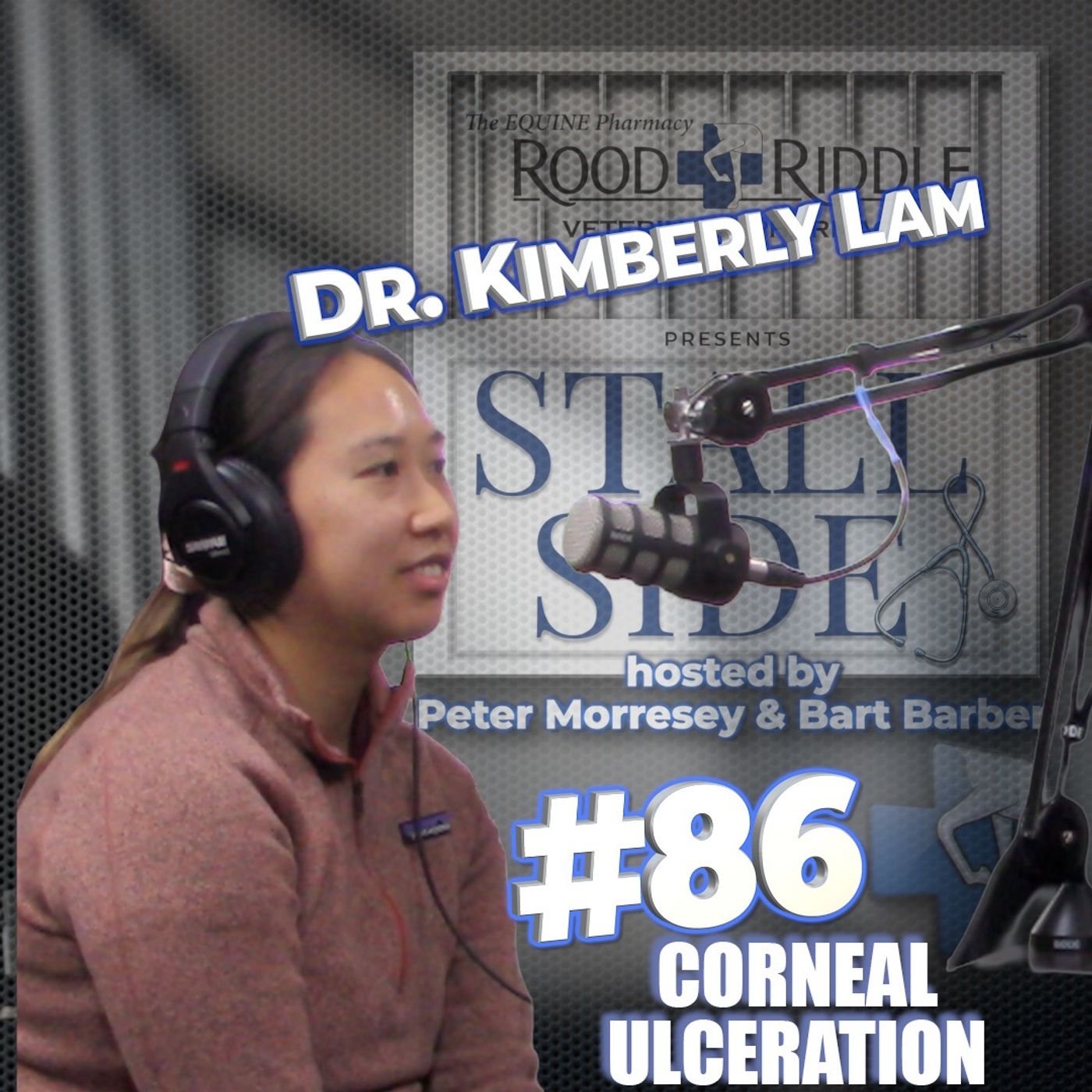 Corneal Ulceration in Horses - Causes Diagnosis and Treatment with Dr Kimberly Lam