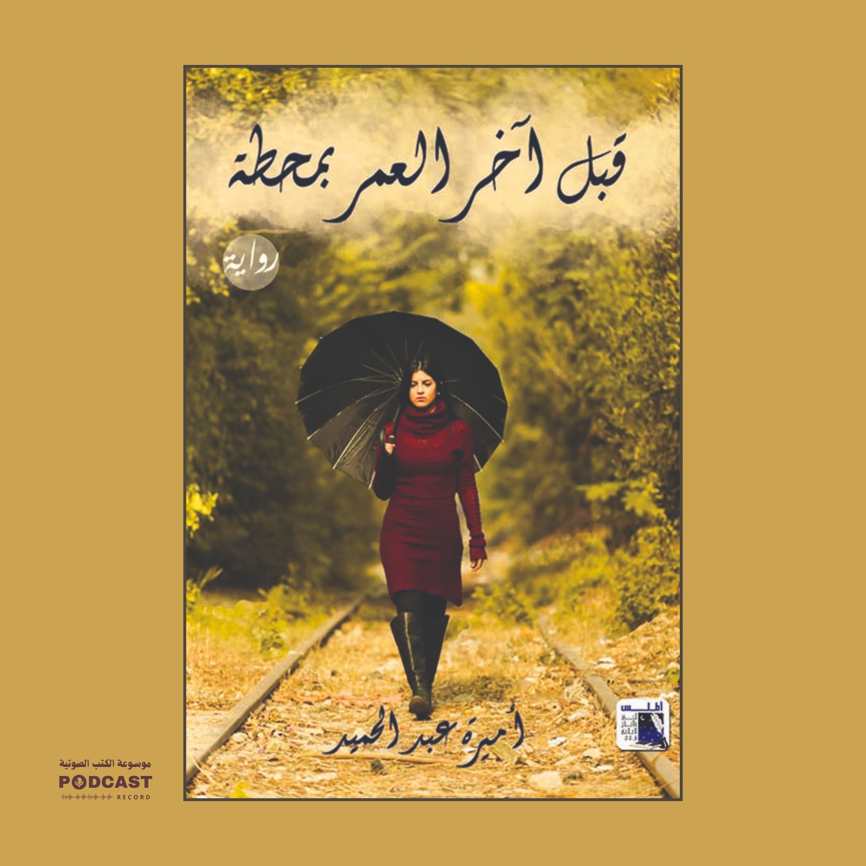 رواية قبل آخر العمر بمحطة | أميرة عبدالحميد