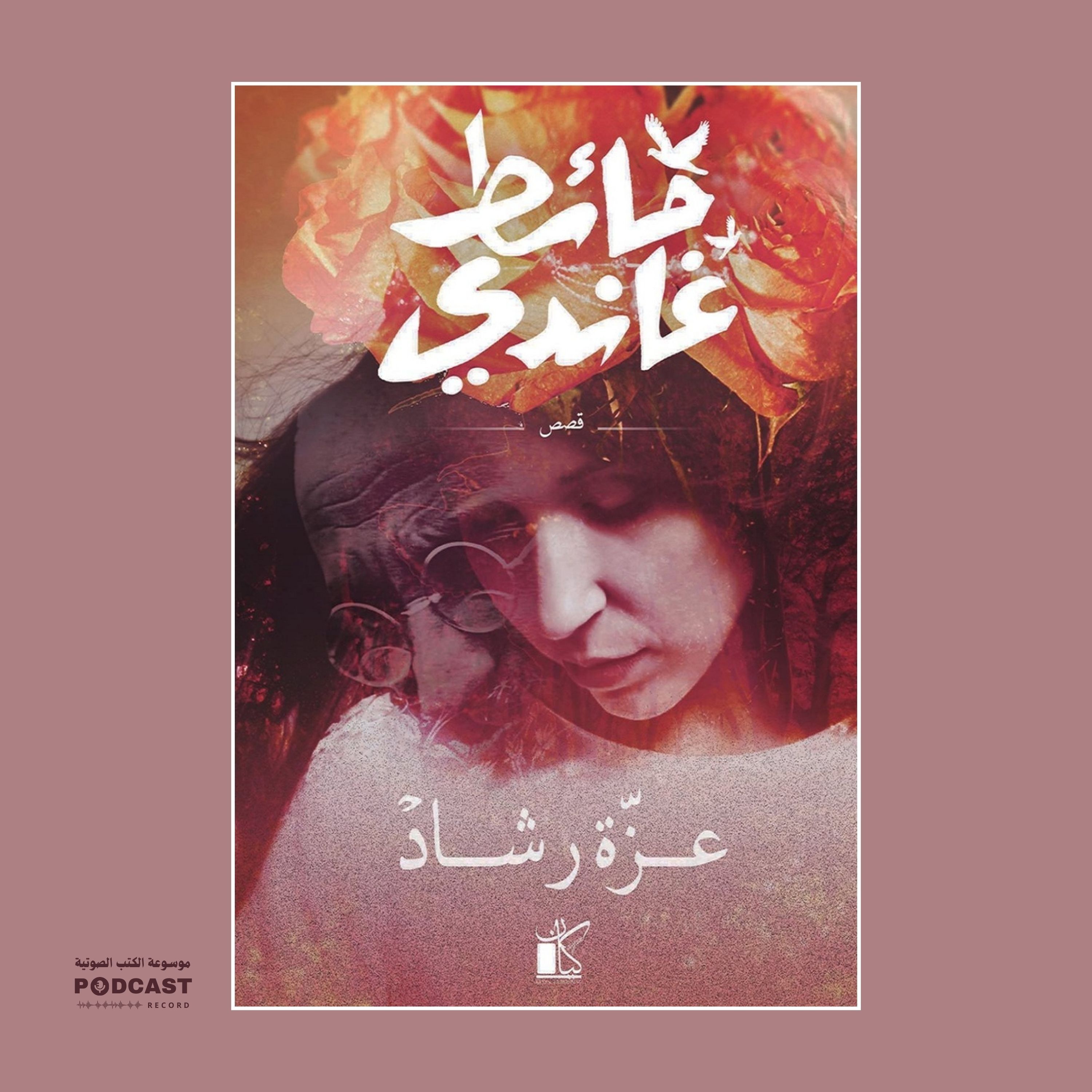 كتاب حائط غاندي | عزة رشاد