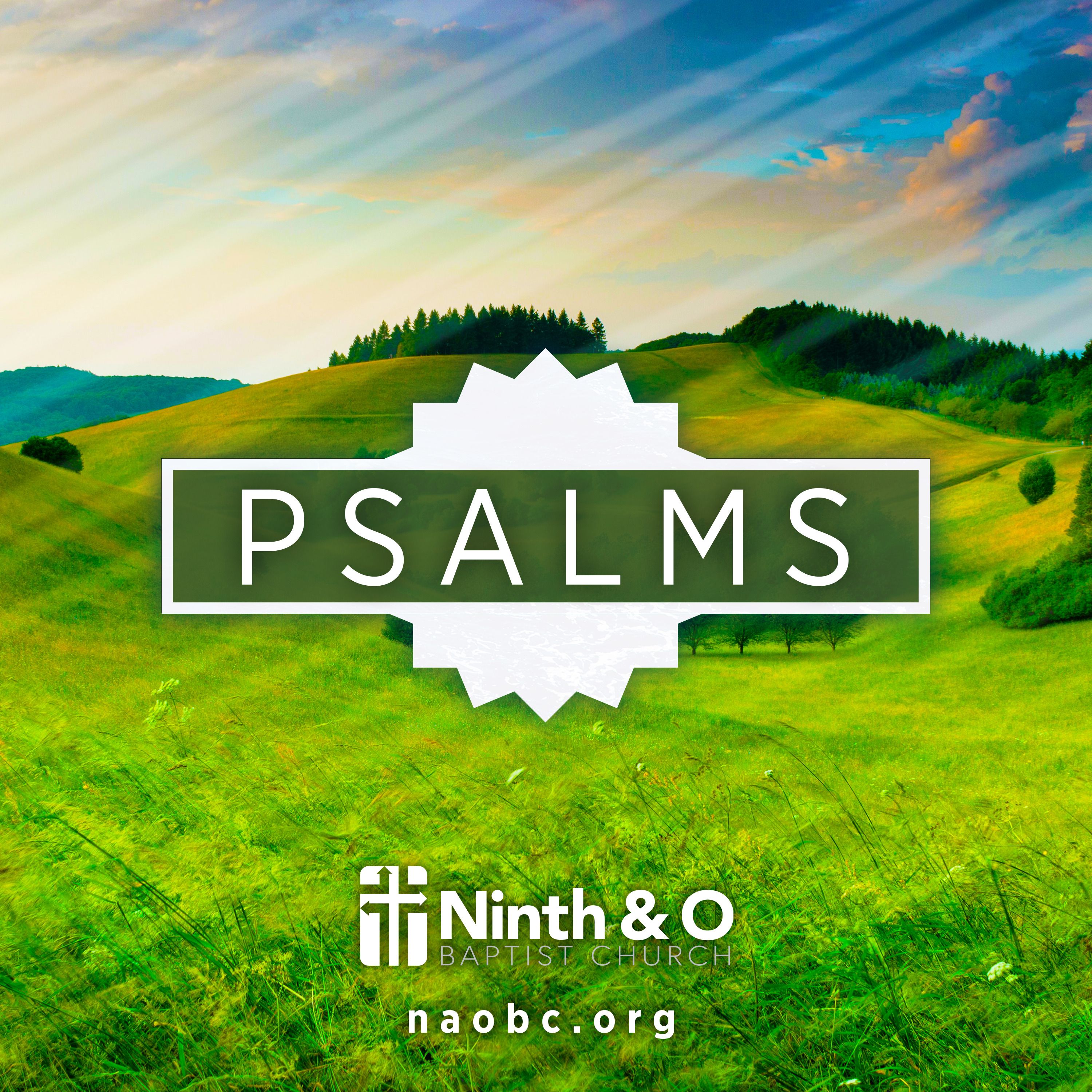 Getting Close to a Holy God...Again: The Absolute Necessity of Integrity (Psalm 15) - Dr. Bill Cook episode artwork