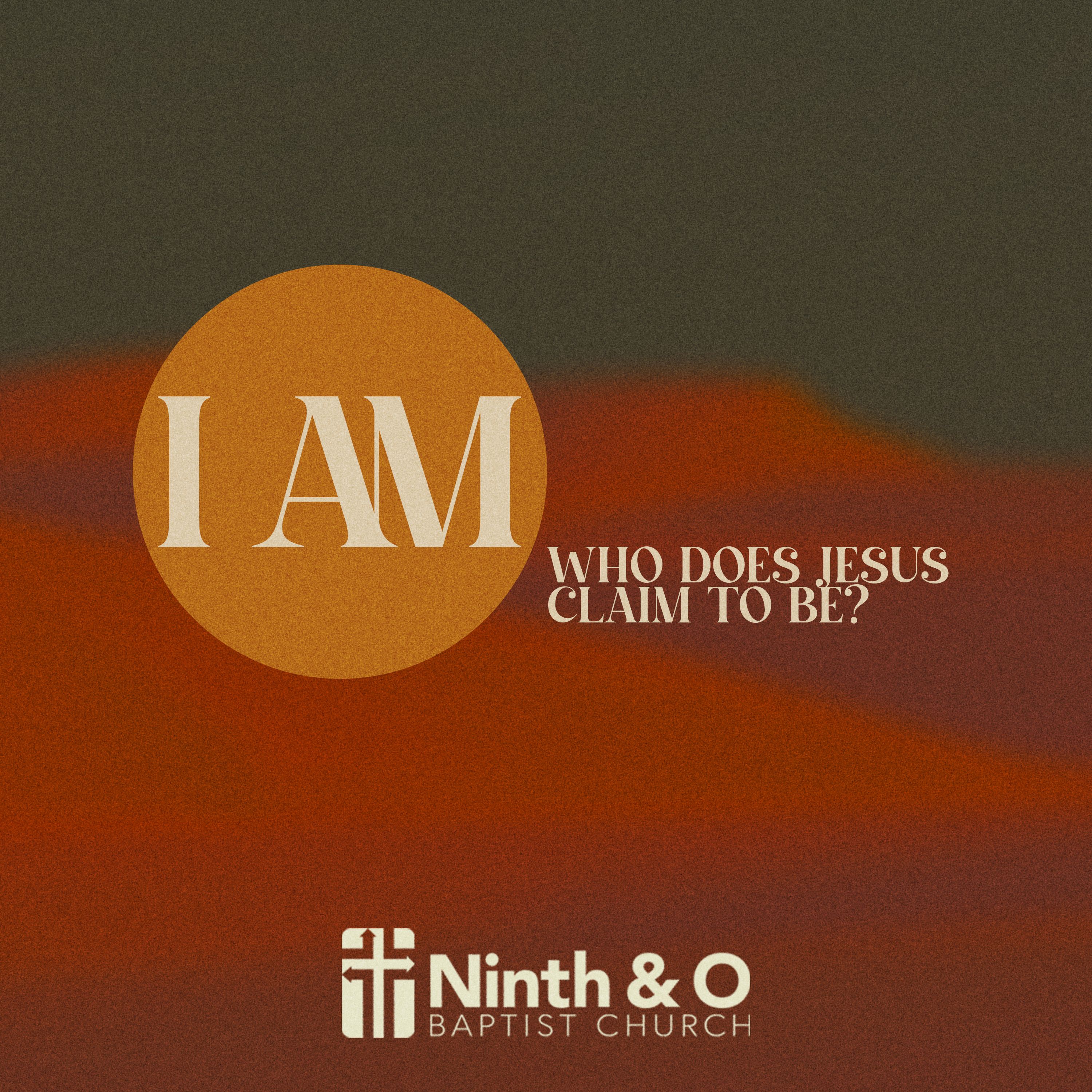I Am the True Vine: Abiding in Christ Is the Key to a Fruitful Life (John 15:1–11) - Dr. Bill Cook episode artwork