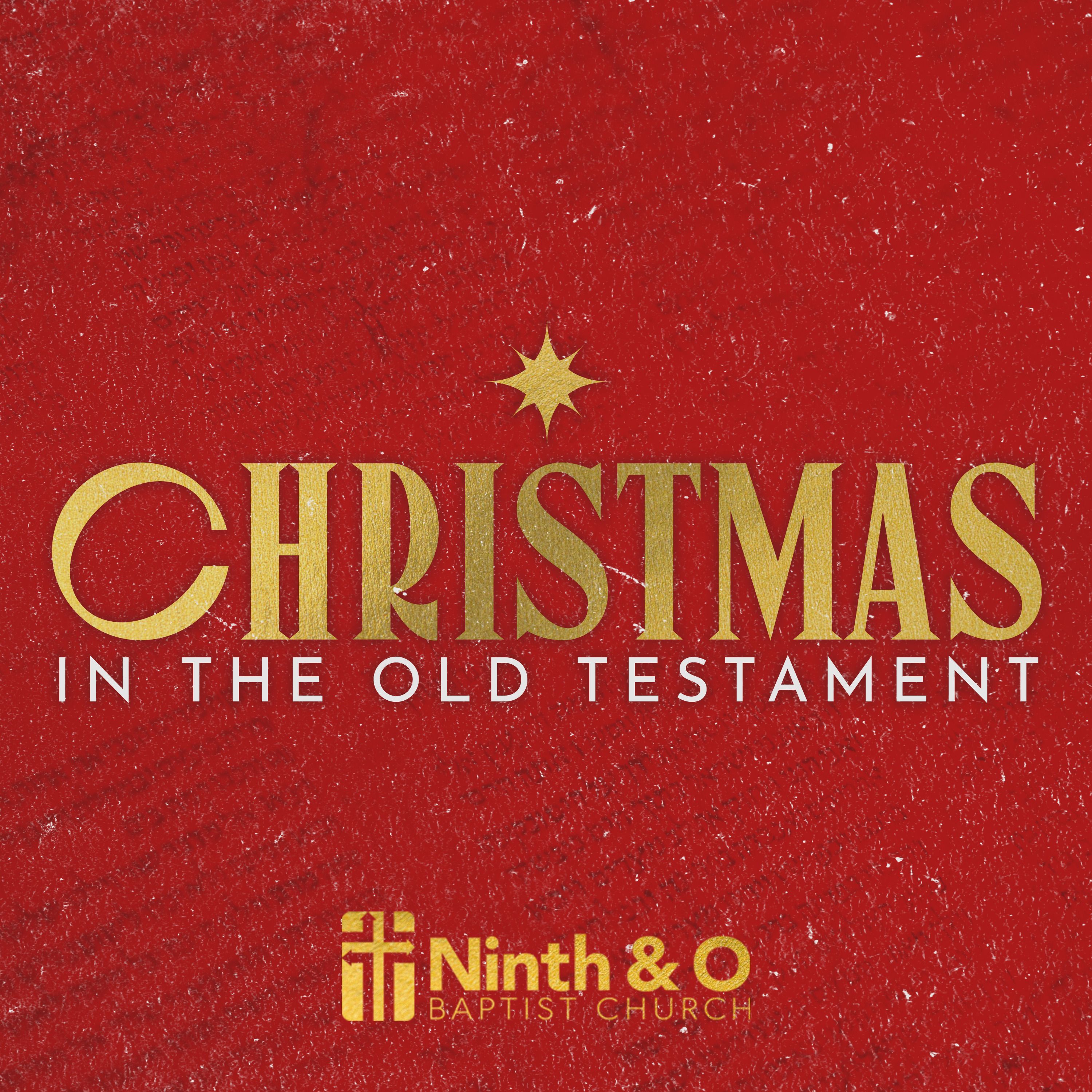 The Hope of Christmas in the Book of Ruth (The Book of Ruth) - Dr. Adam Howell episode artwork