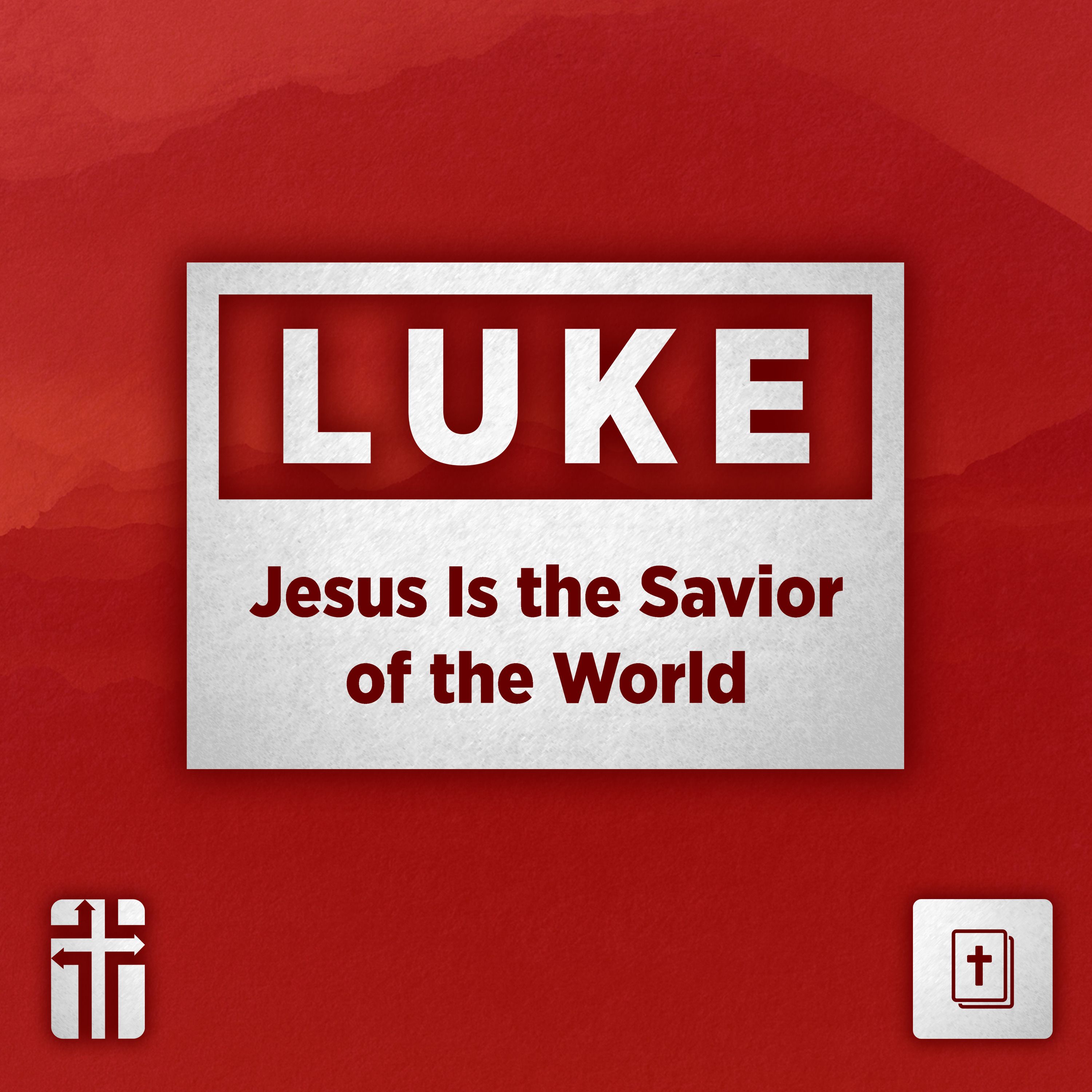 Jesus Is the Savior of the World (Luke) - Dr. Bill Cook episode artwork