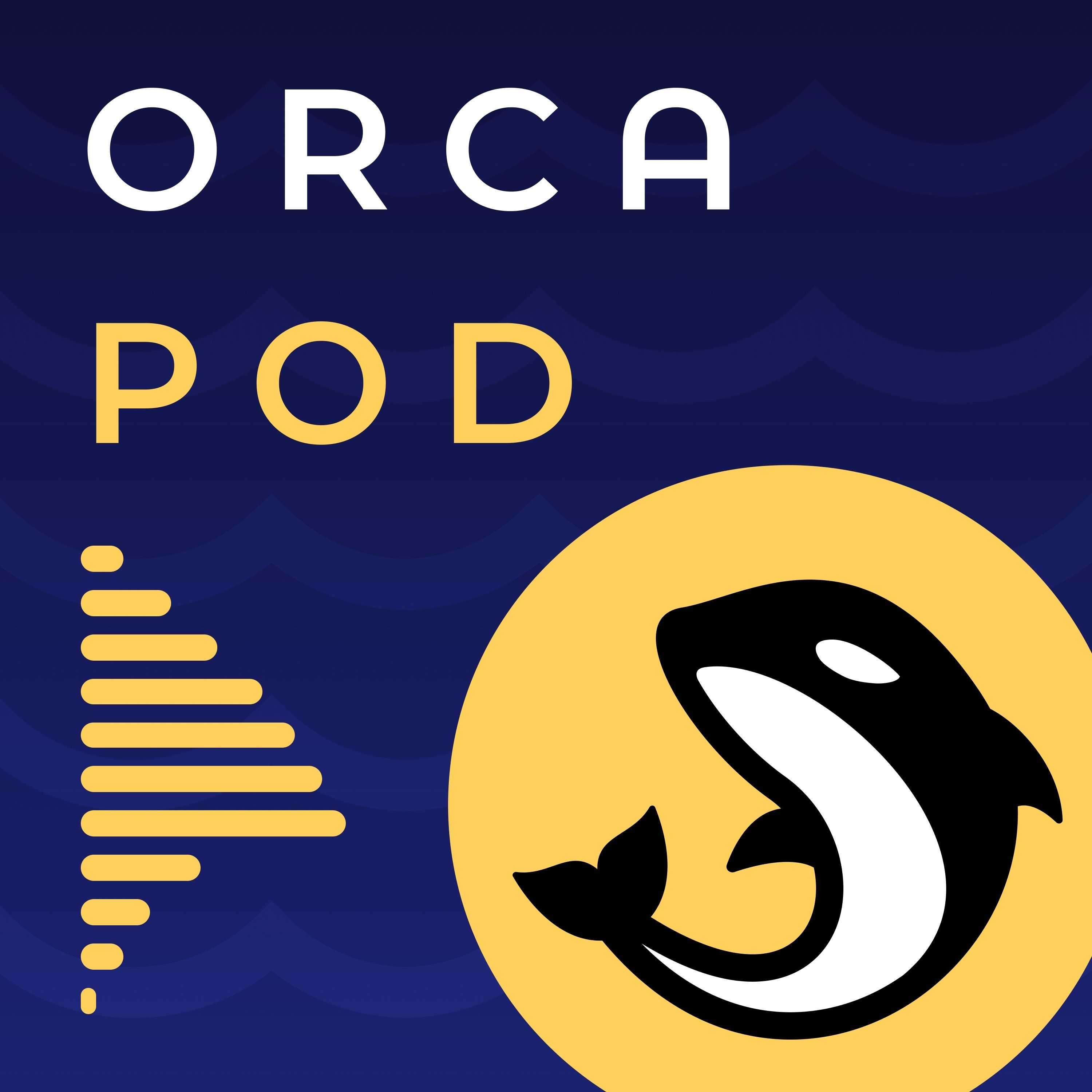 Evgeny Gaevoy - Concentrated Liquidity changes the game, OrcaPod Ep #9 episode artwork