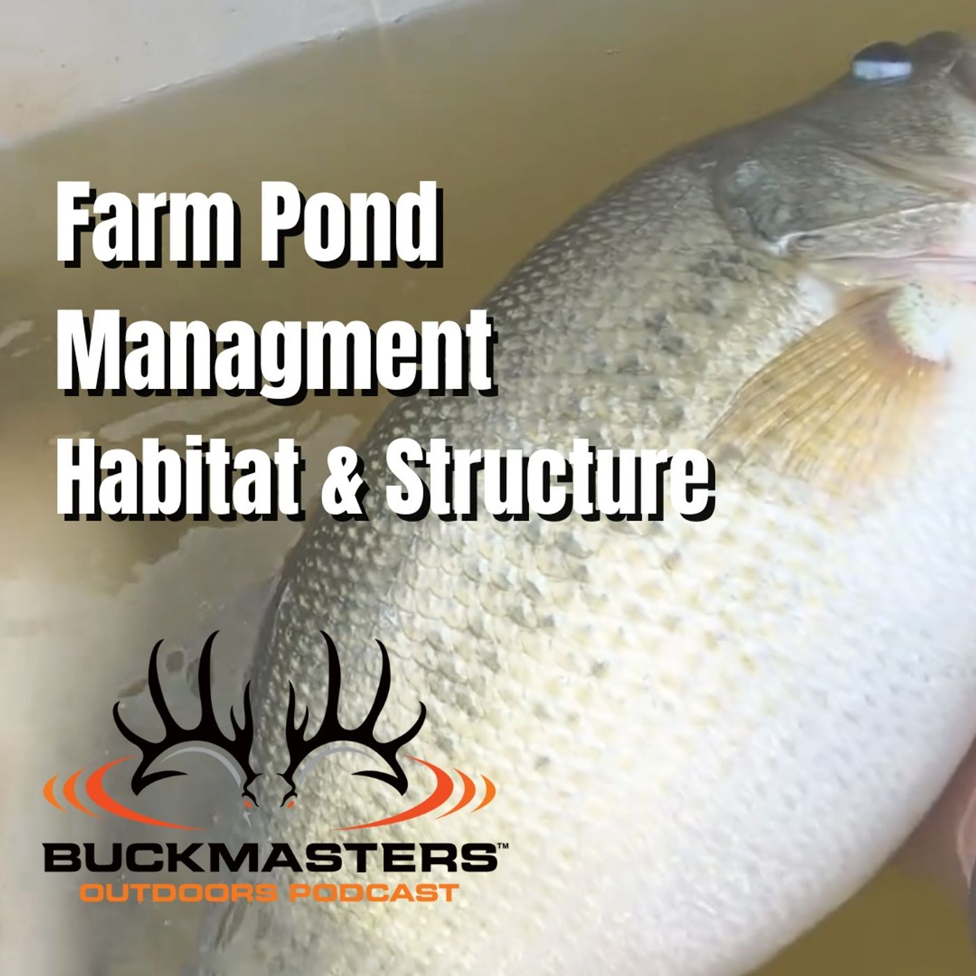 Buckmasters Outdoors Podcast