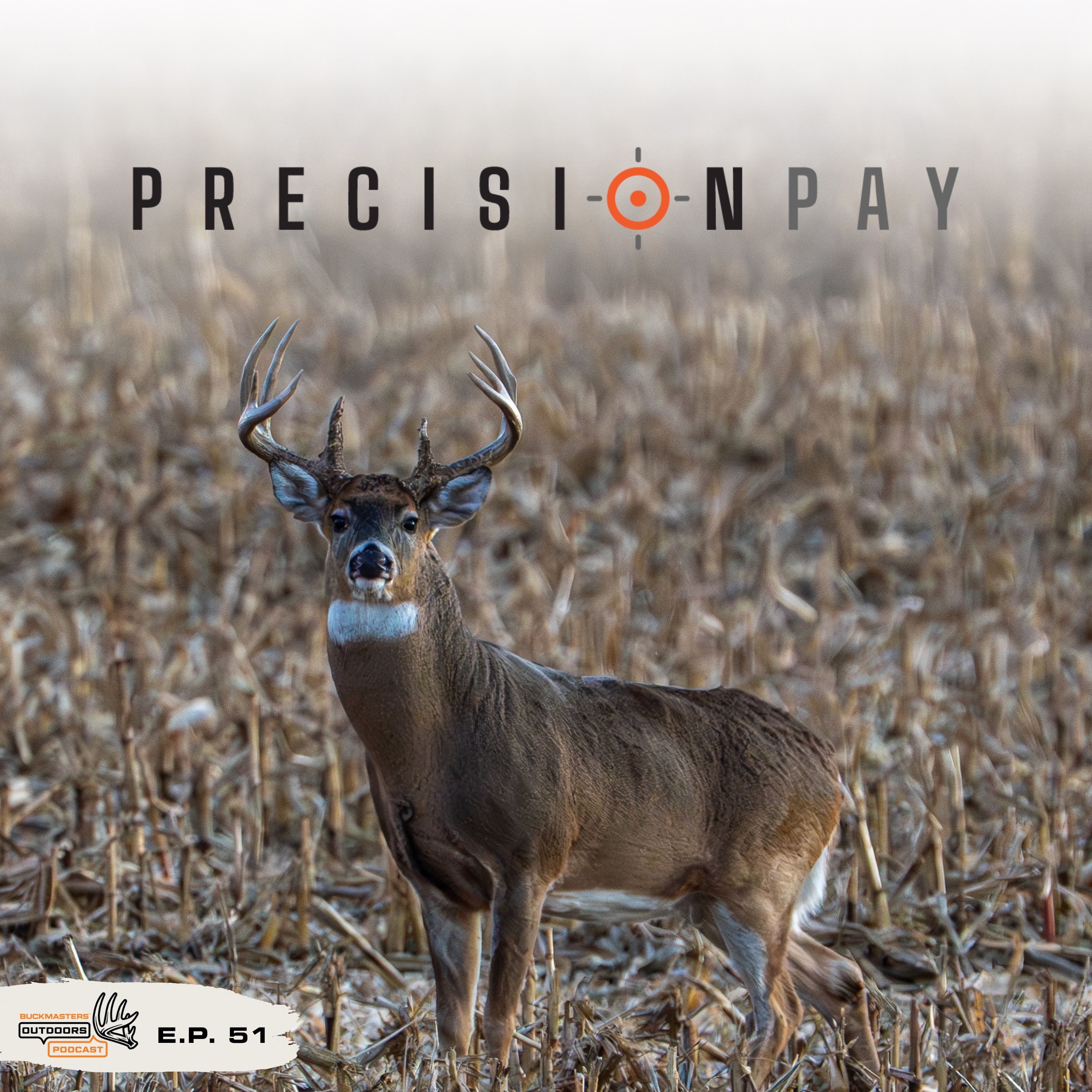 The Ins & Outs of Precision Pay episode artwork