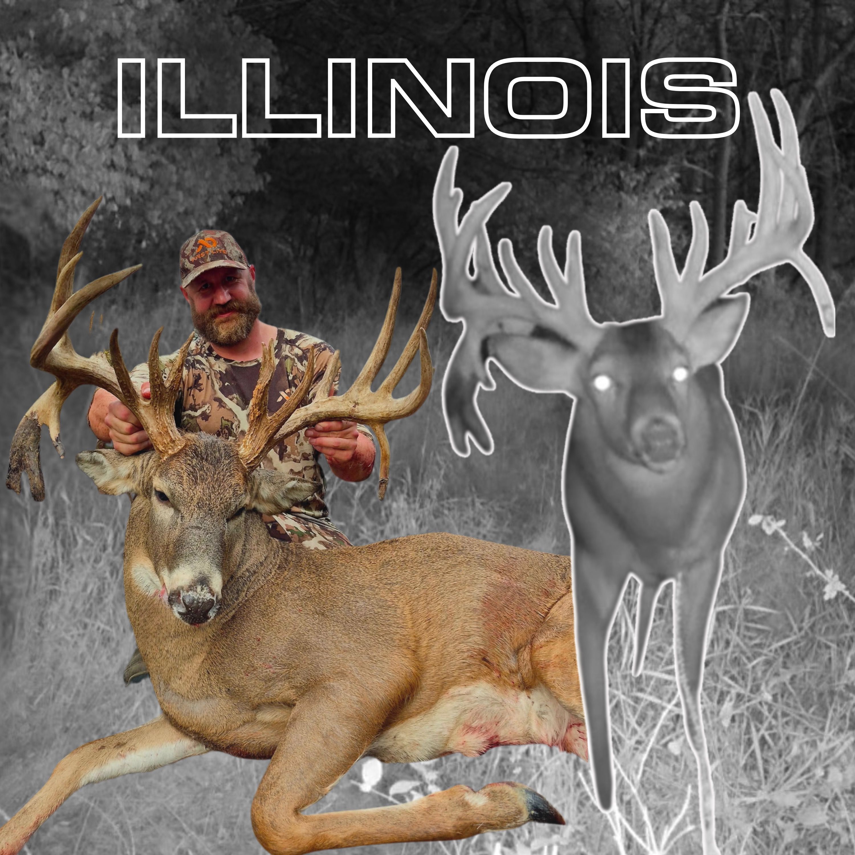 INSANE Story on a 236" Illinois FREAK with a Bow (Andrew Potthoff) | Big Buck Blueprint