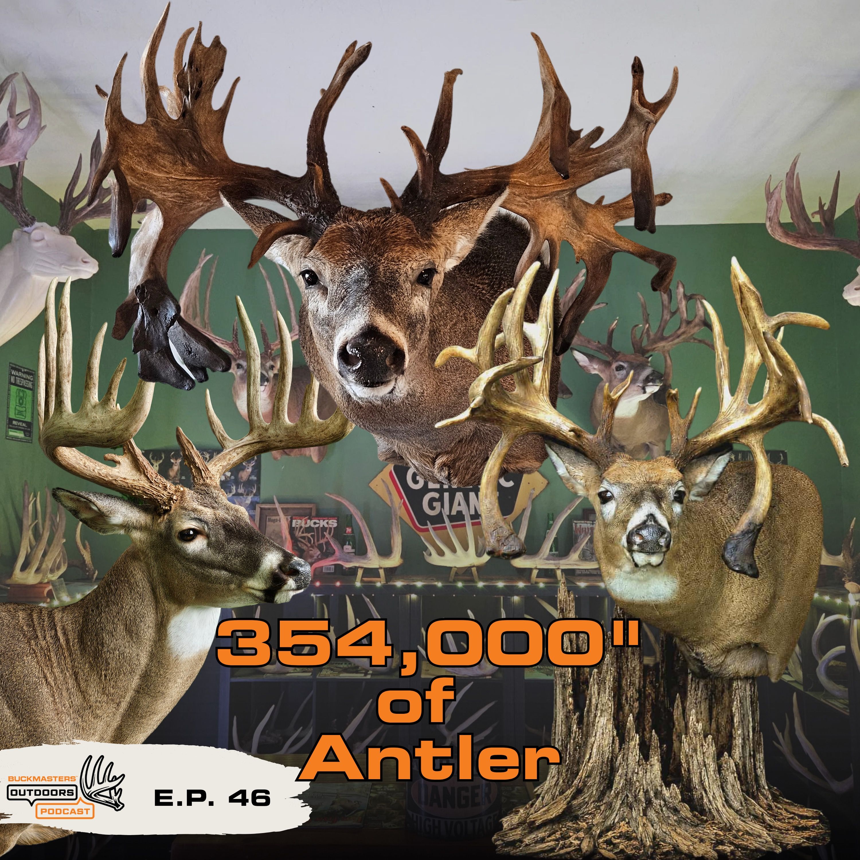 The World's Most Impressive Antler Collection!? episode artwork