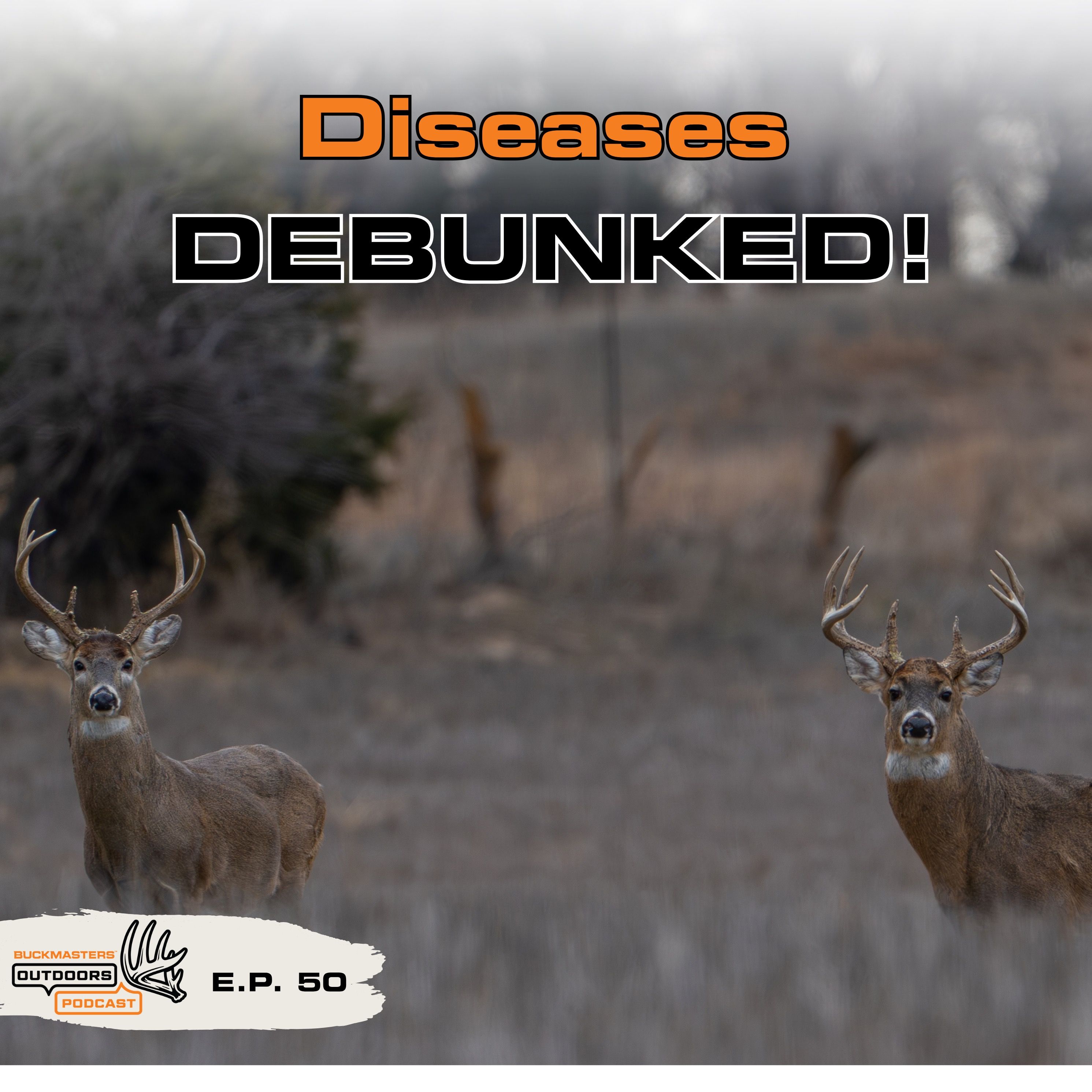 Whitetail Diseases DEBUNKED: What Hunters Need to Know episode artwork
