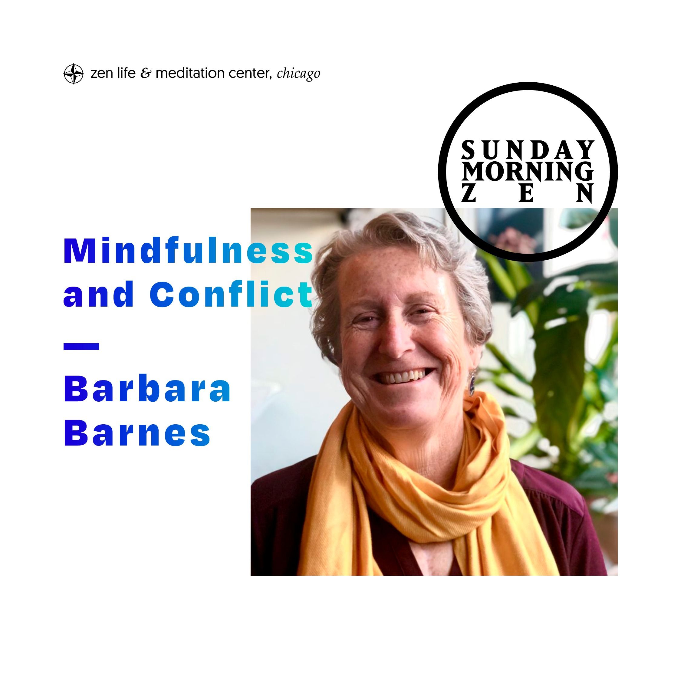 Mindfulness and Conflict — Dharma talk by Barbara Barnes episode artwork
