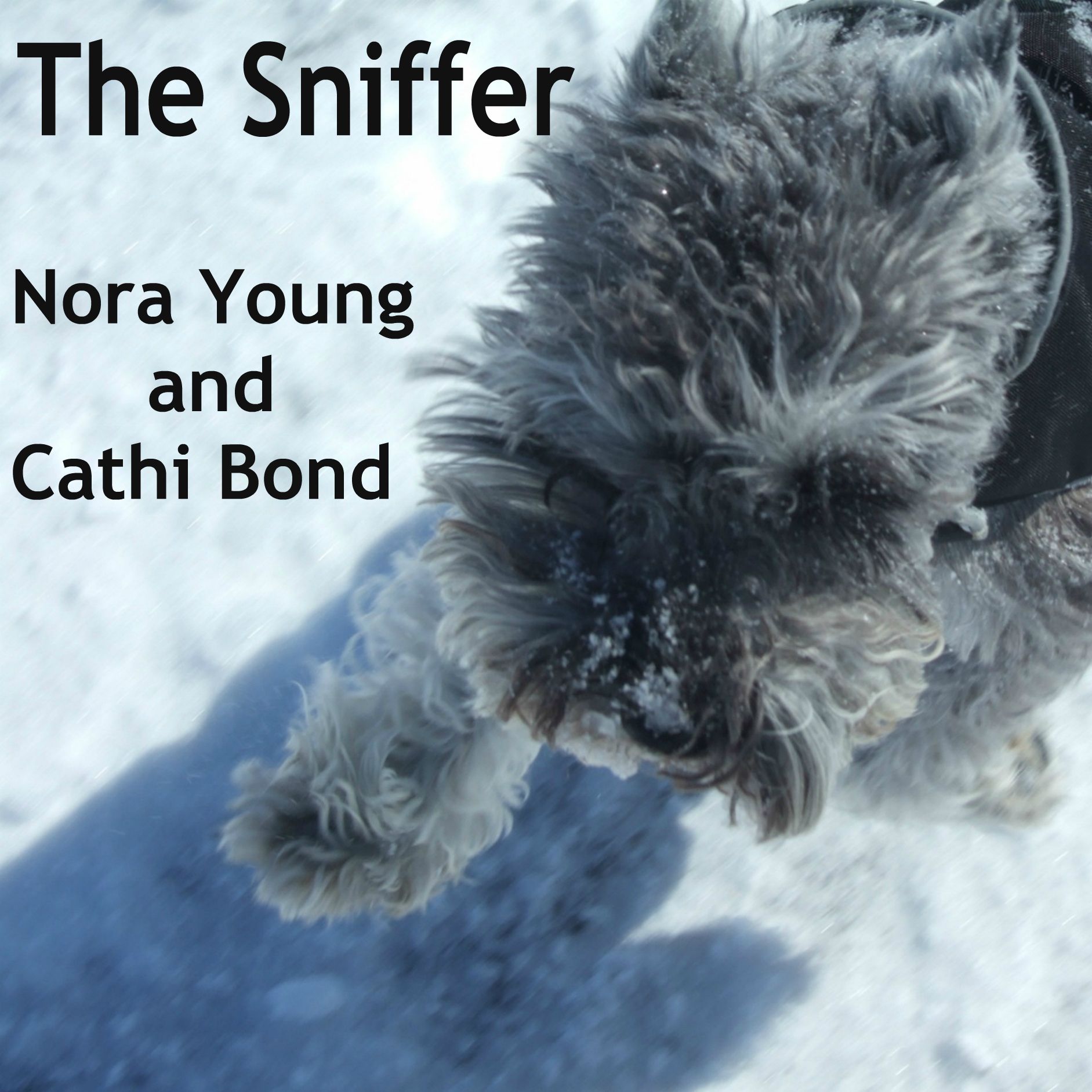 The Sniffer, Oct 8th, 2012: Trends in Customization and Personal Devices episode artwork