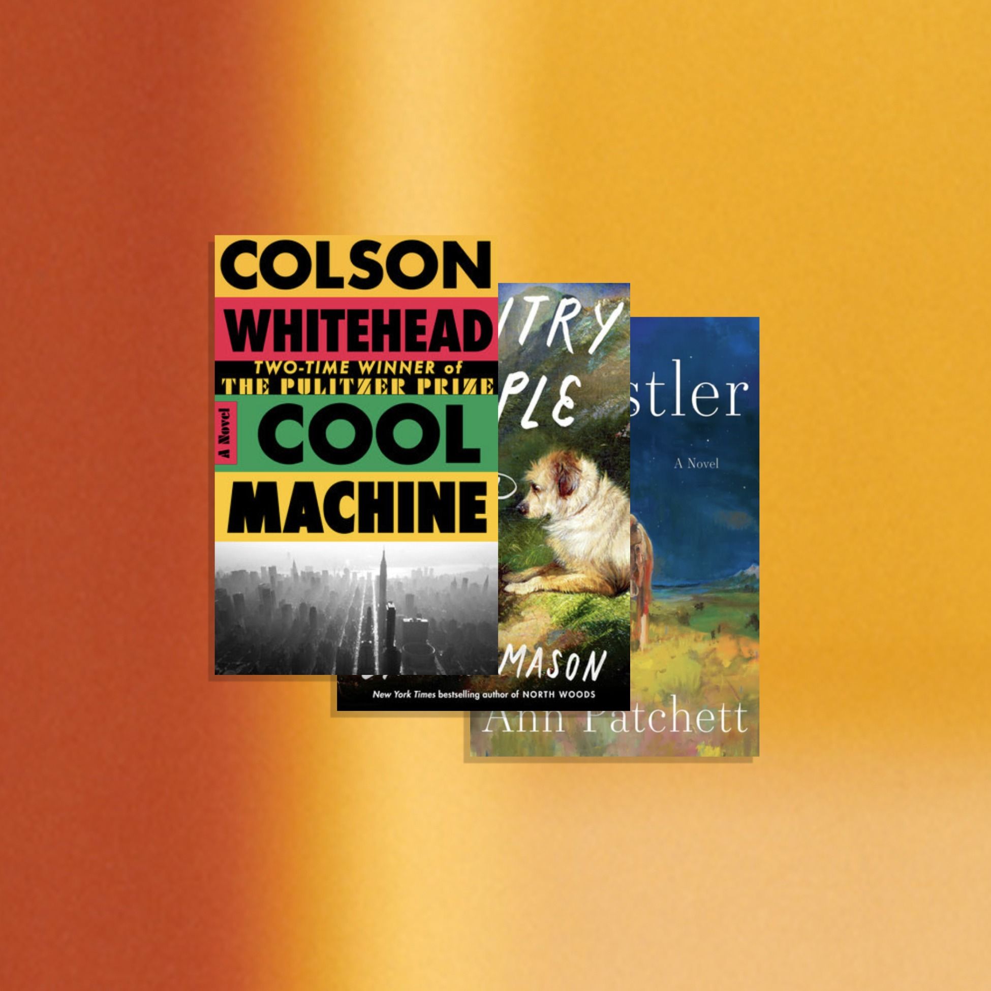 A Summer Book Recommendation Bonanza — The Book Review cover
