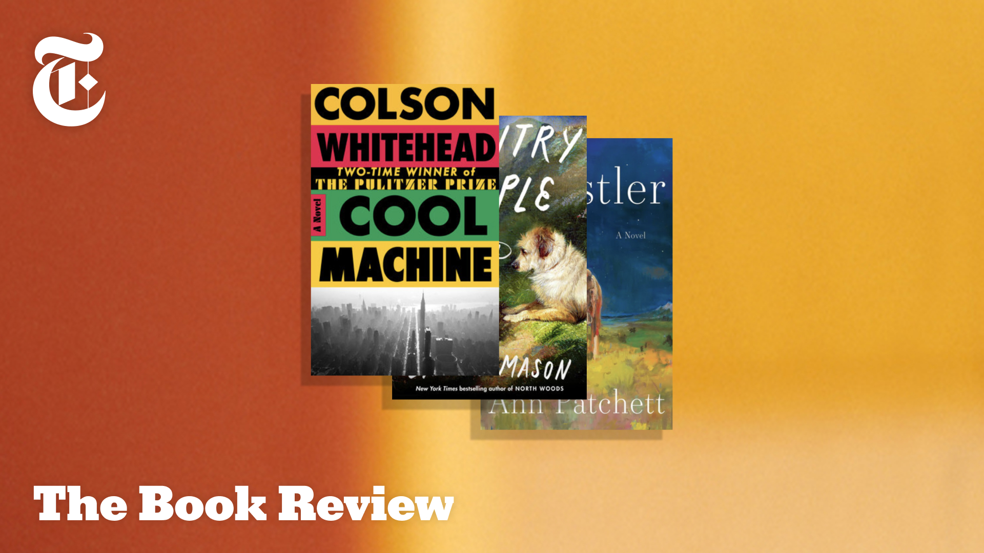 A Summer Book Recommendation Bonanza