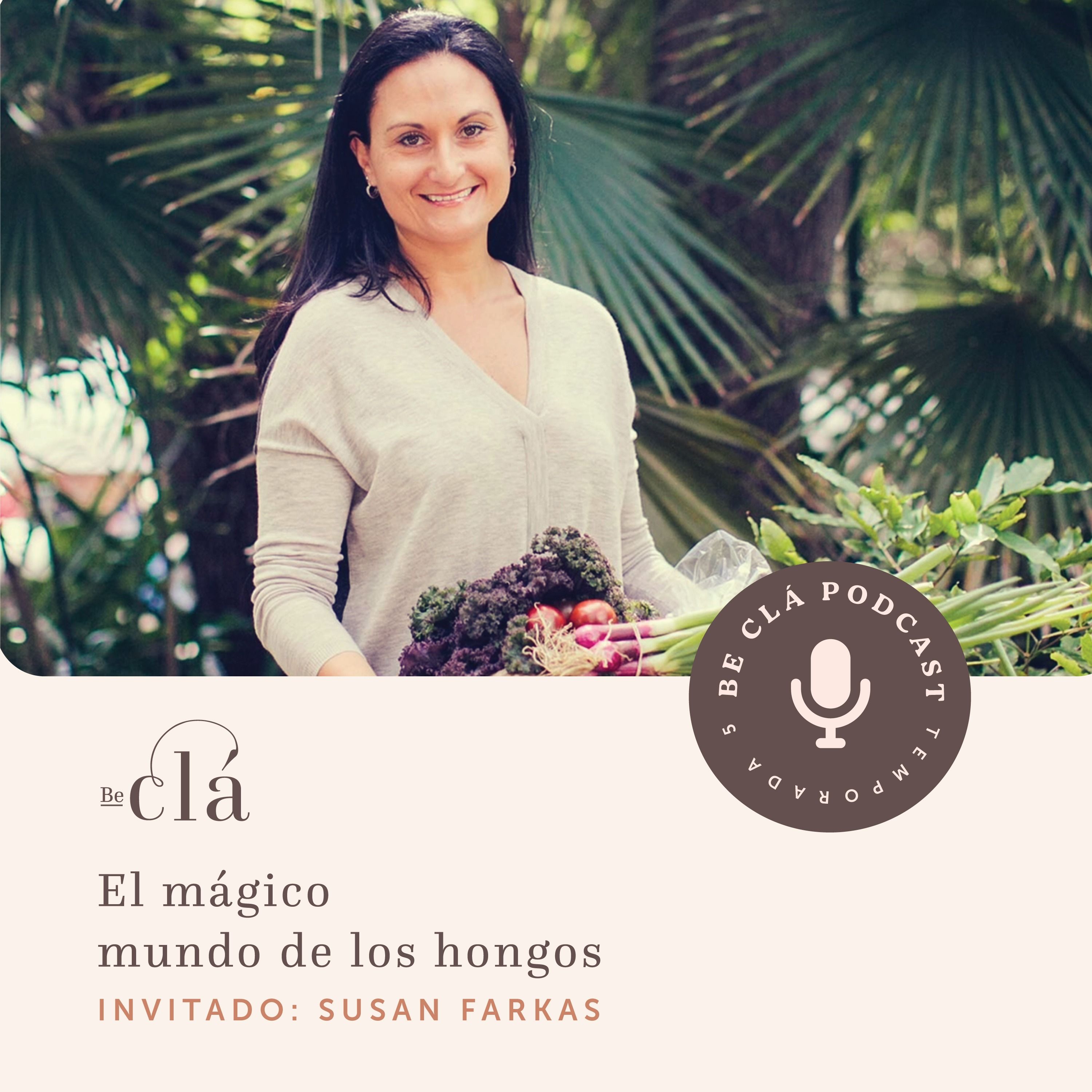 El mágico mundo de los hongos.