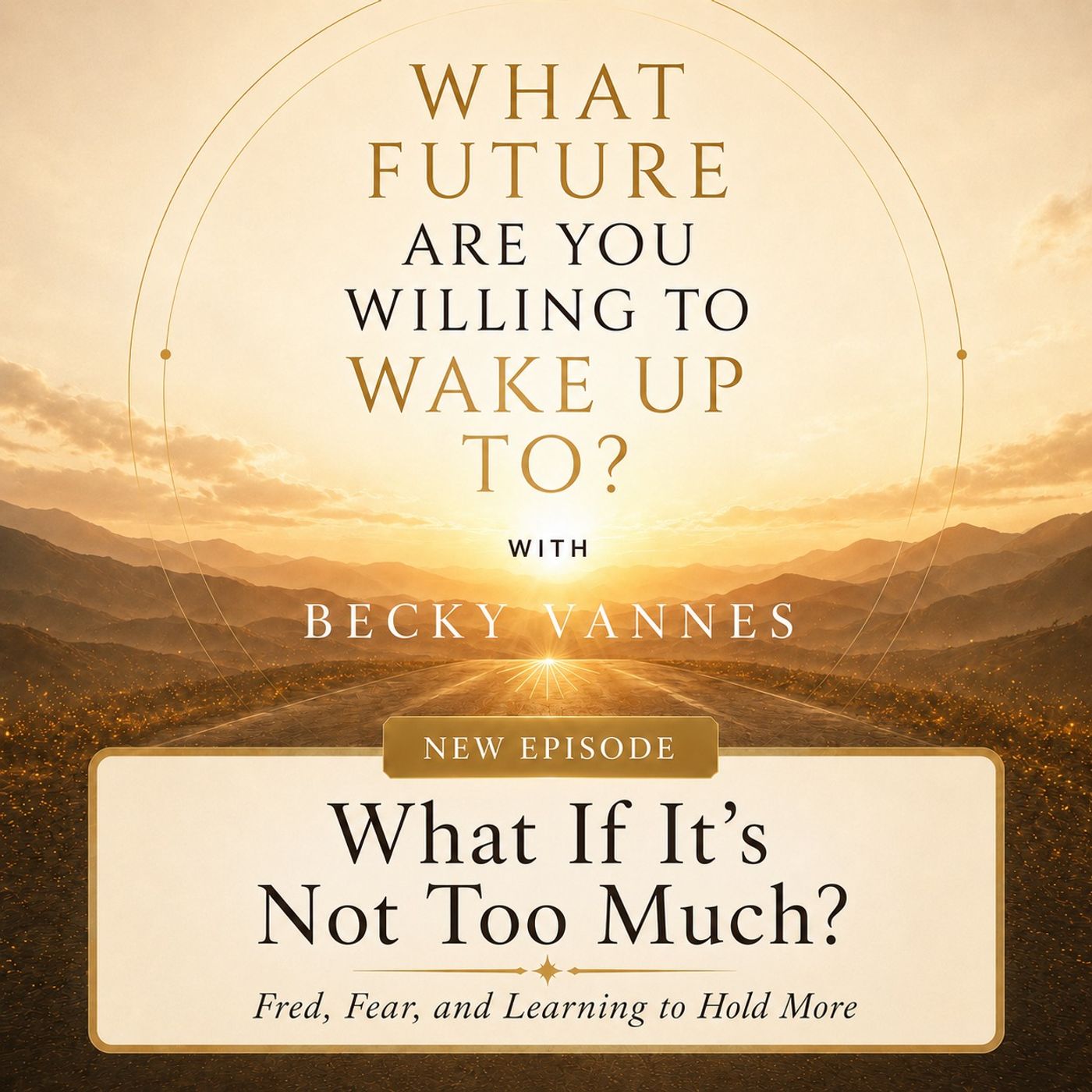 What If It’s Not Too Much? episode artwork