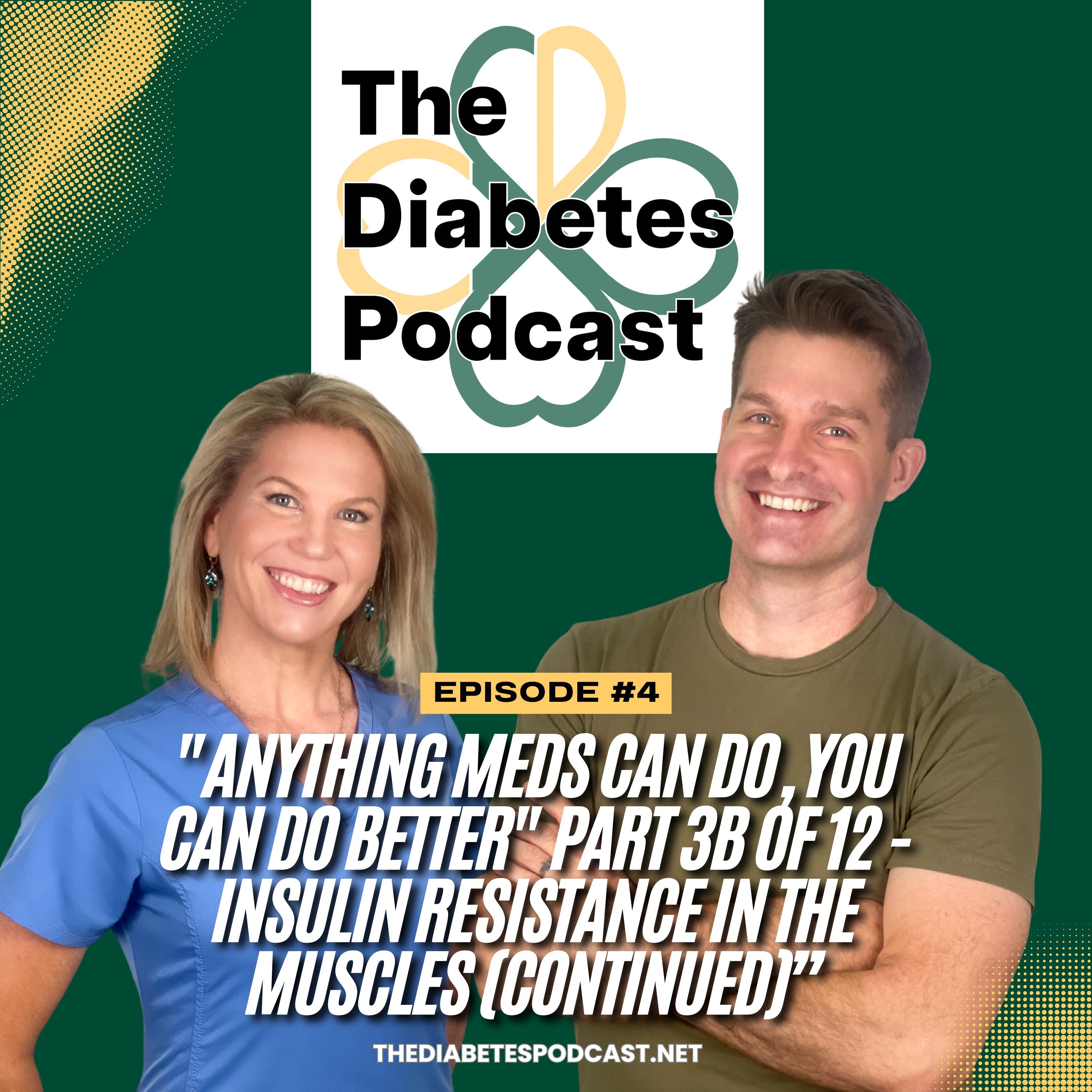 "Anything Meds Can Do, You Can Do Better" Part 3B of 12 - Insulin Resistance in the Muscles (continued)