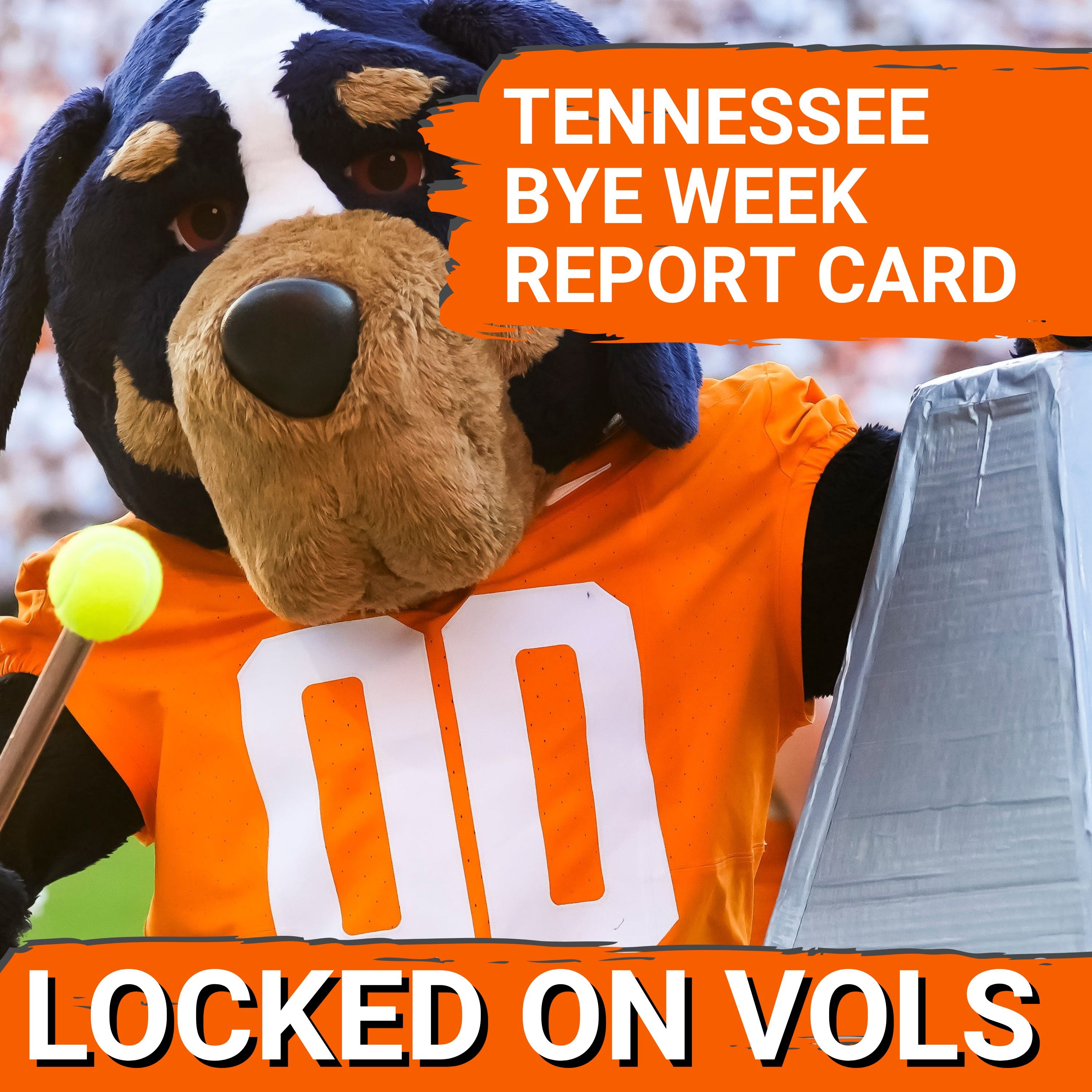 PROGRESS REPORT: Joey Aguilar, Chris Brazzell have RESHAPED Tennessee Football Offense