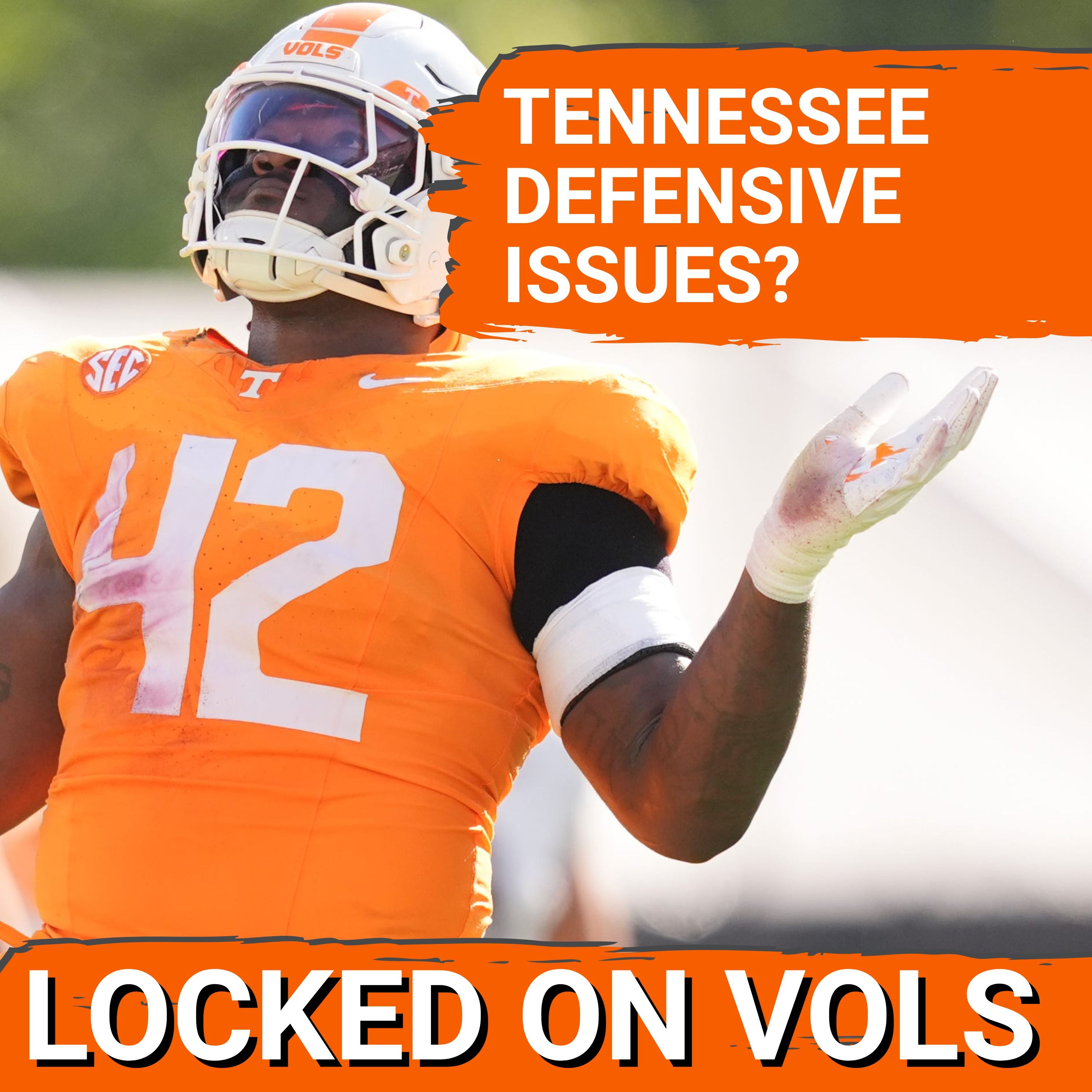 CONTROVERSY: Tennessee Football DEFENSE is BETTER than Stats indicate thanks to Colton Hood, Arion Carter