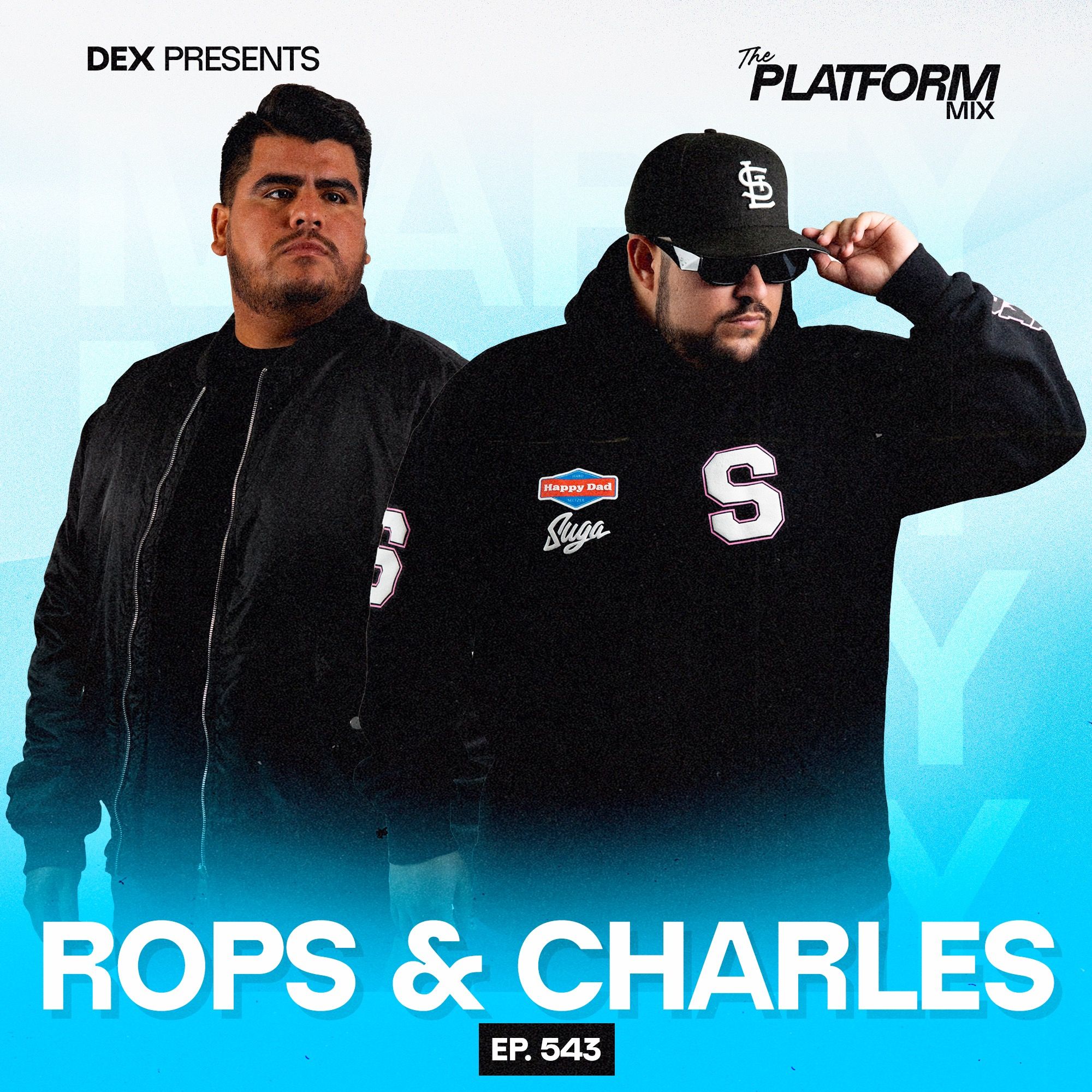 The Platform Mix