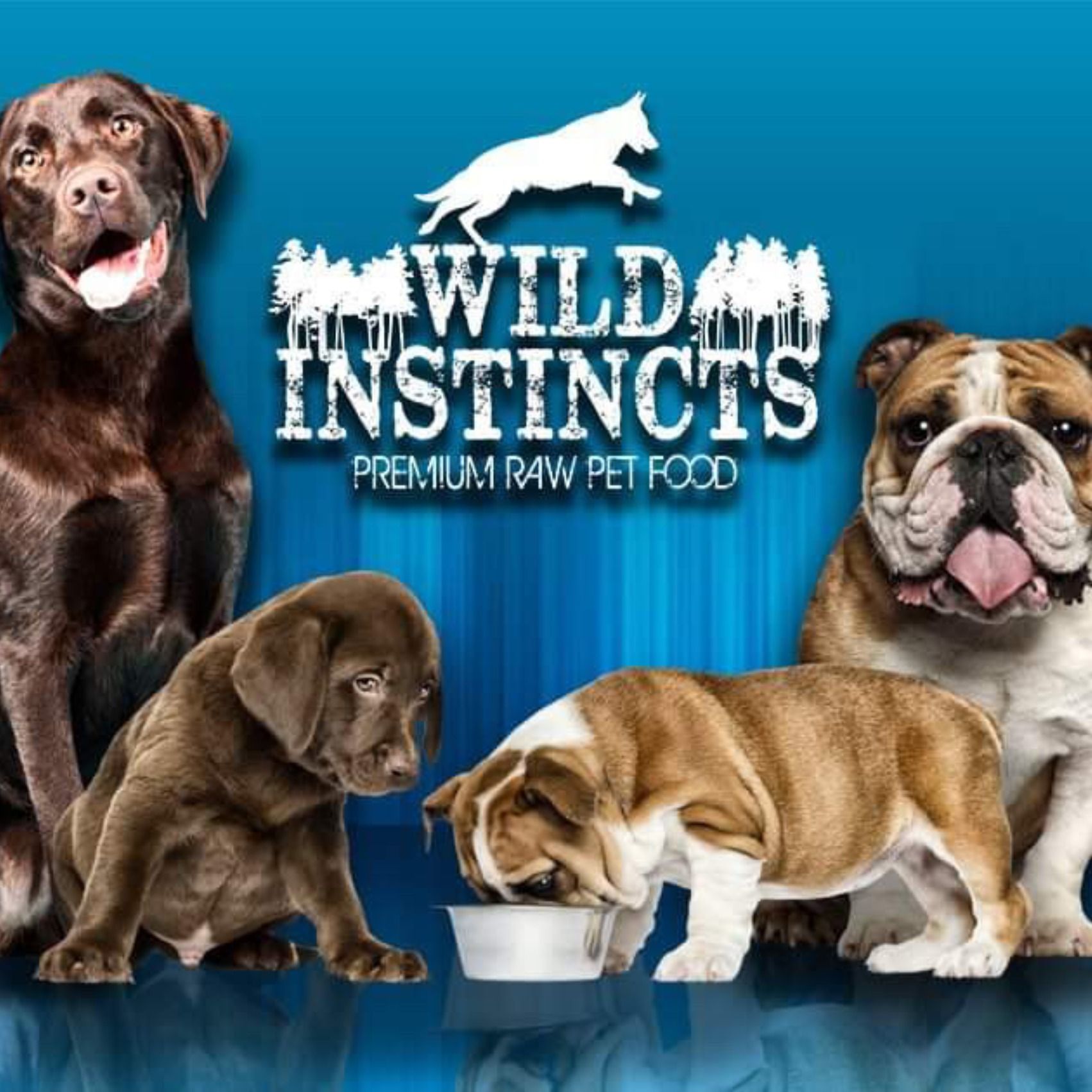 Taylor Made Dog Cast