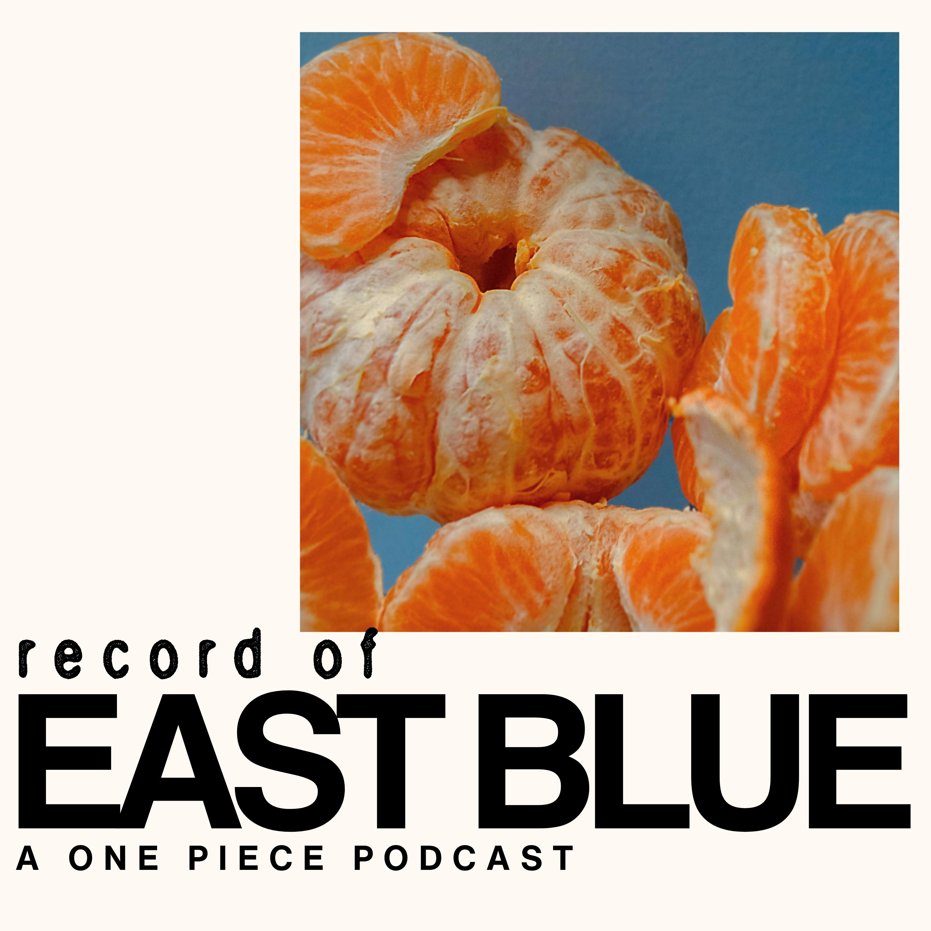 Record of East Blue: Arlong Park episode artwork