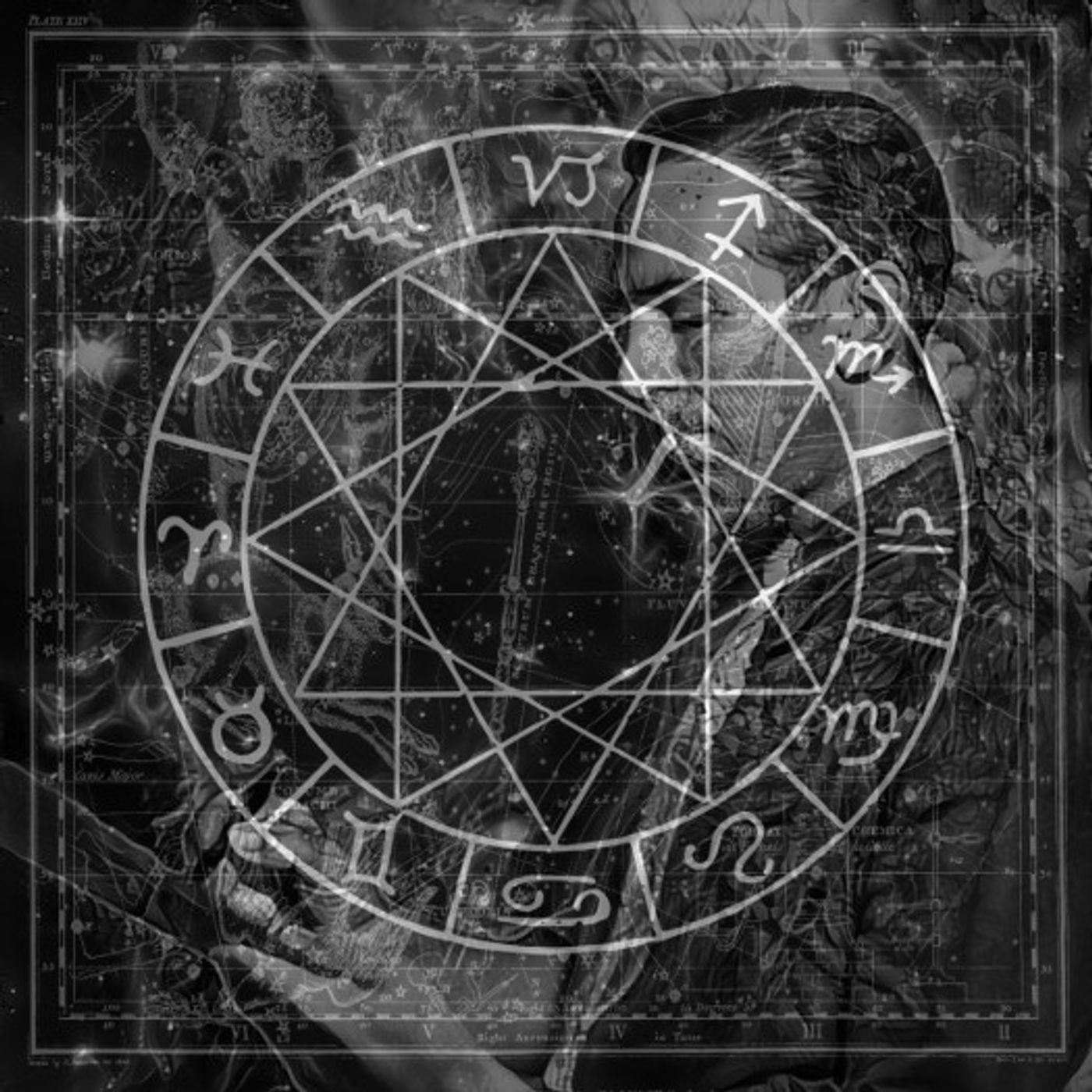 The Dark Room: Owen Briggs Reads Disney’s Chart