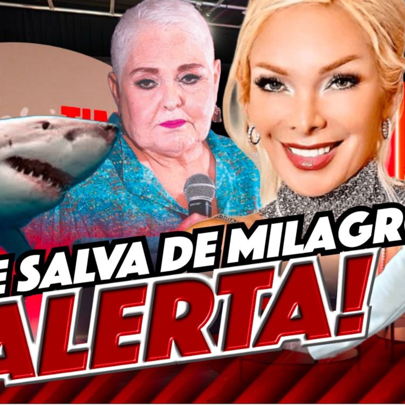 No fue un accidente común: lo que realmente pasó con el nieto de Lupita D'Alessio y el ataque del tiburón