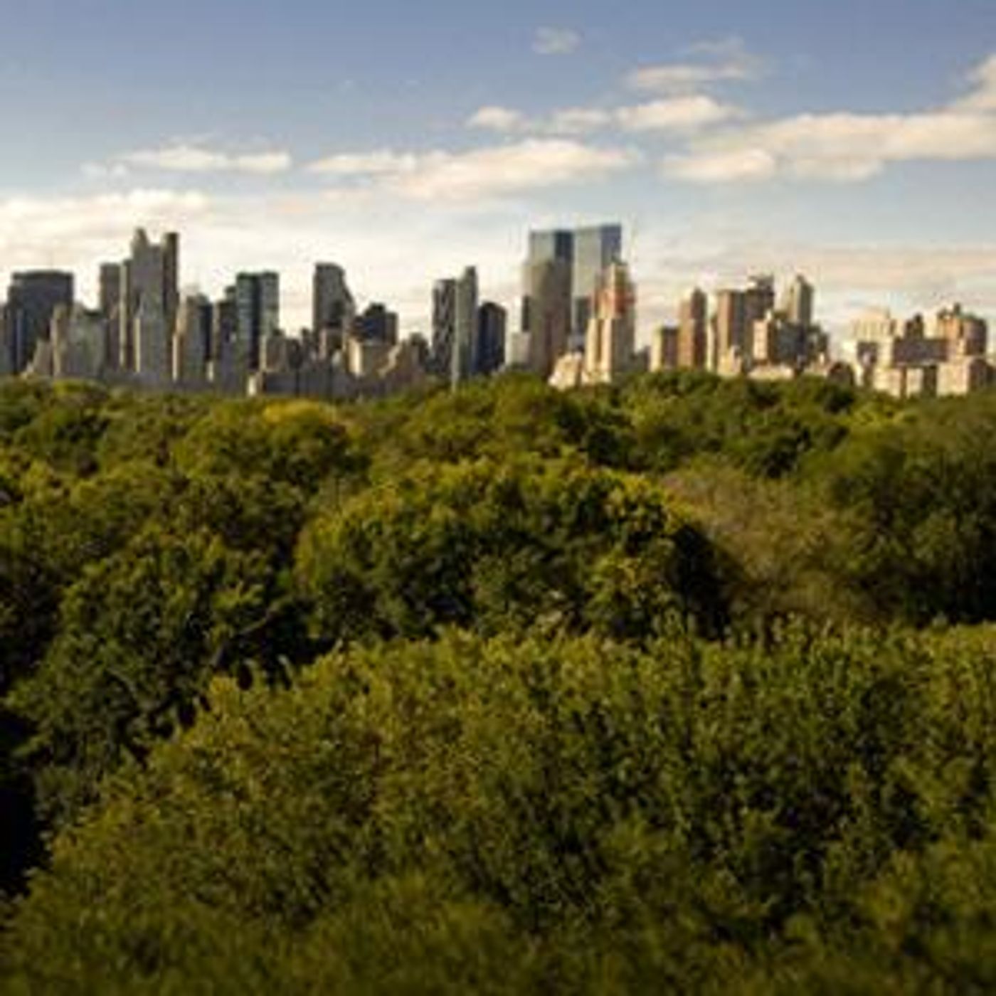 Talk To Me: PlaNYC's Sustainability Plan