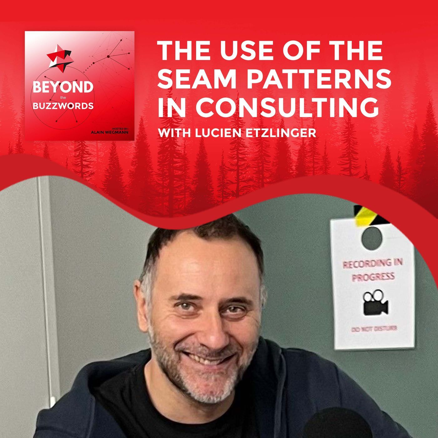 The Use Of The SEAM Patterns In Consulting With Lucien Etzlinger | S1:E10 episode artwork