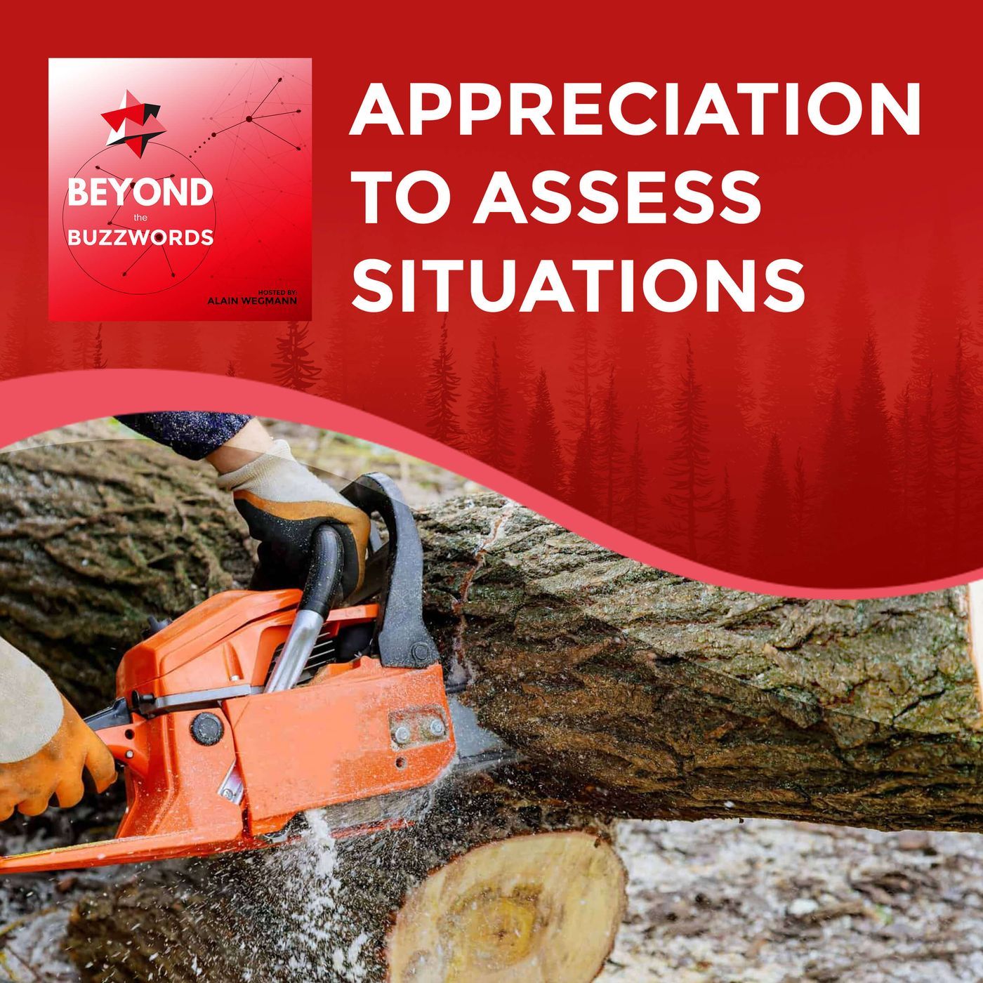 Appreciation To Assess Situations S1:E5 episode artwork