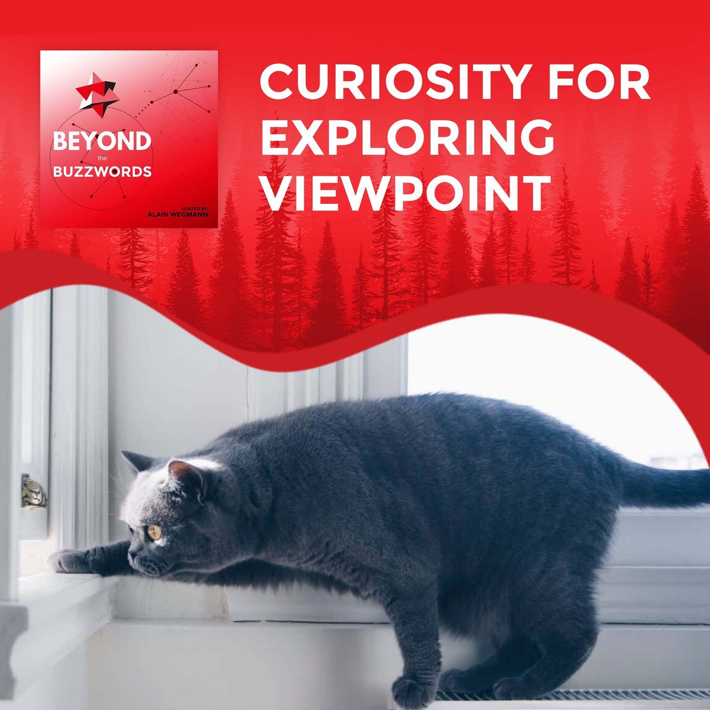 Curiosity For Exploring Viewpoint S1:E7 episode artwork