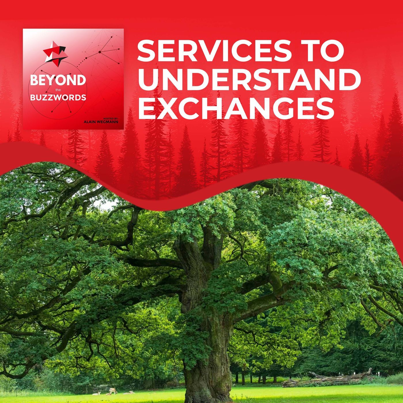 Services To Understand Exchanges S1:E4 episode artwork